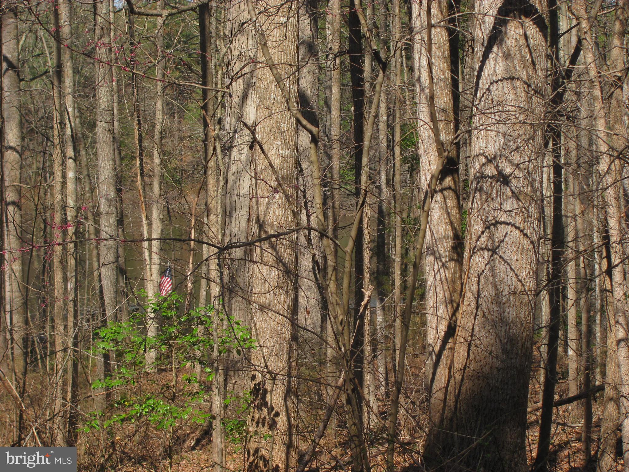 LAKE CAROLINE - Land