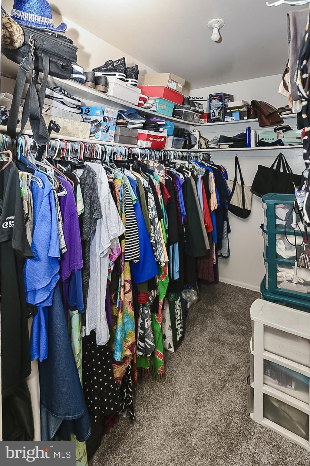 PINE CONDOMINIUM - Residential