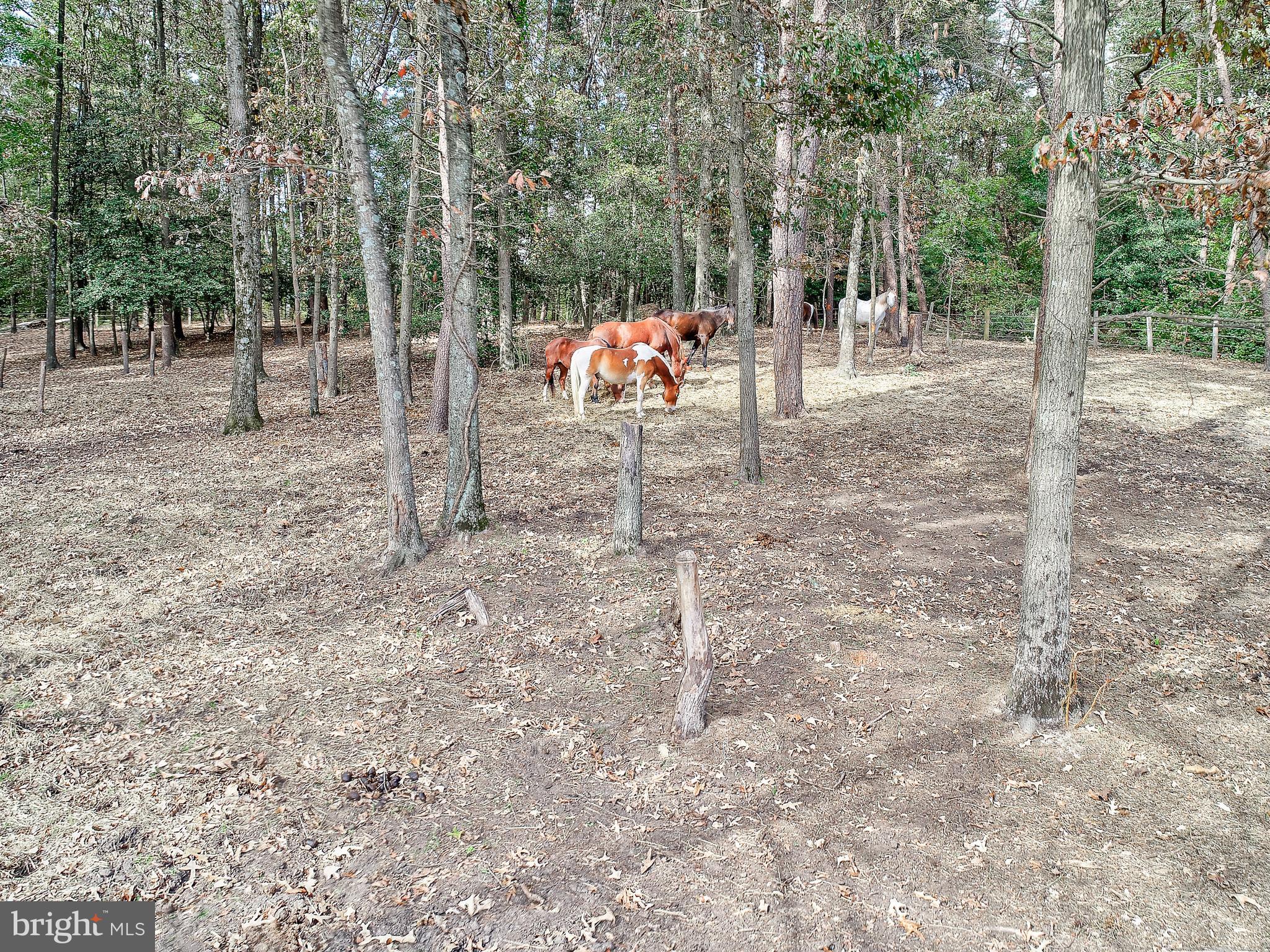 BAYSIDE BEACH - Residential