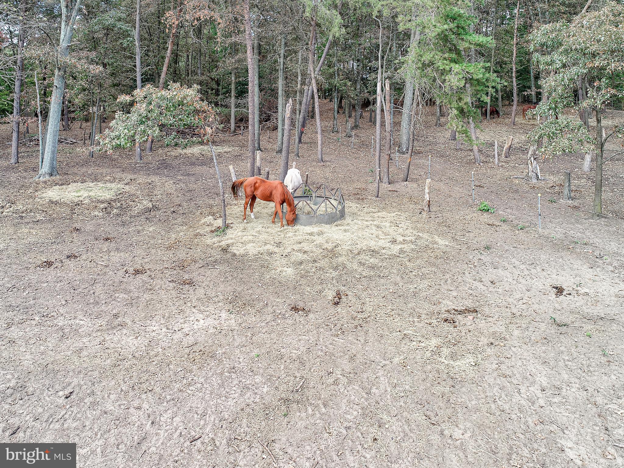 BAYSIDE BEACH - Residential