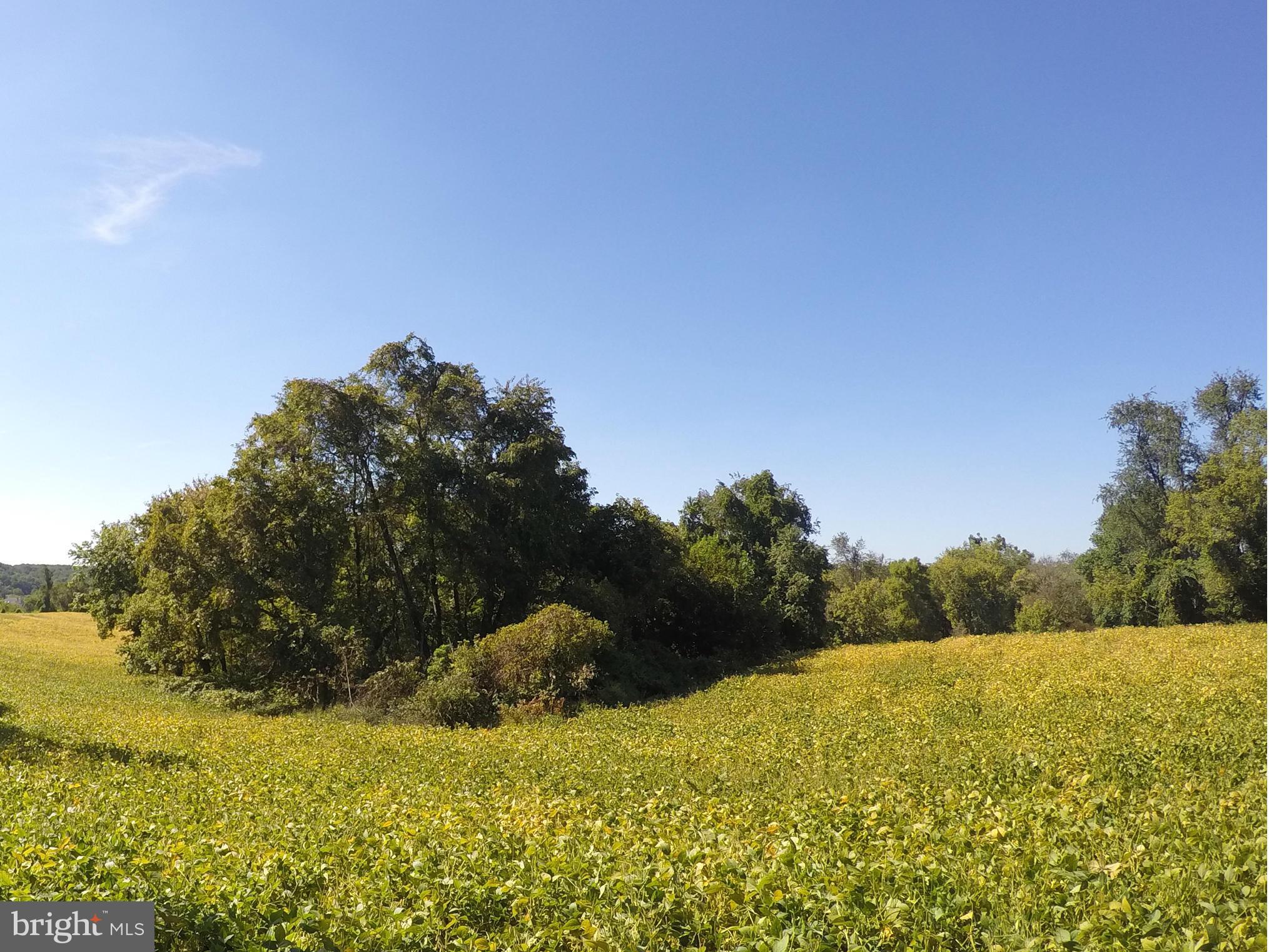WESTERN RUN VALLEY - Land