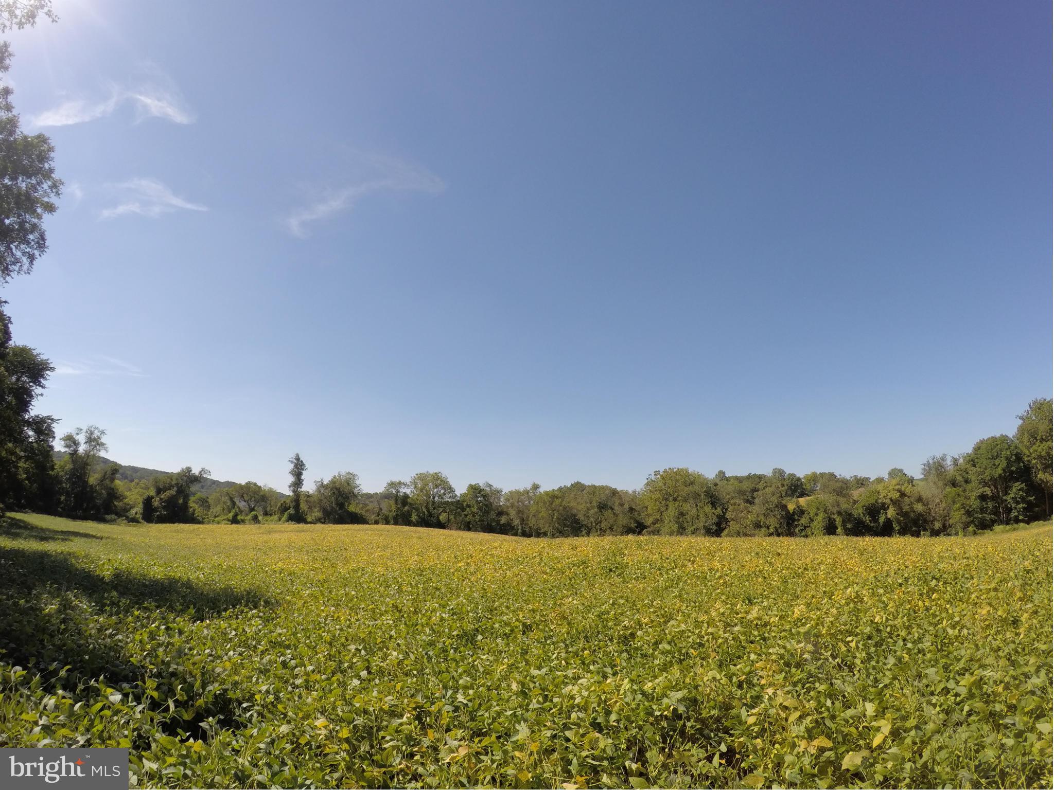 WESTERN RUN VALLEY - Land