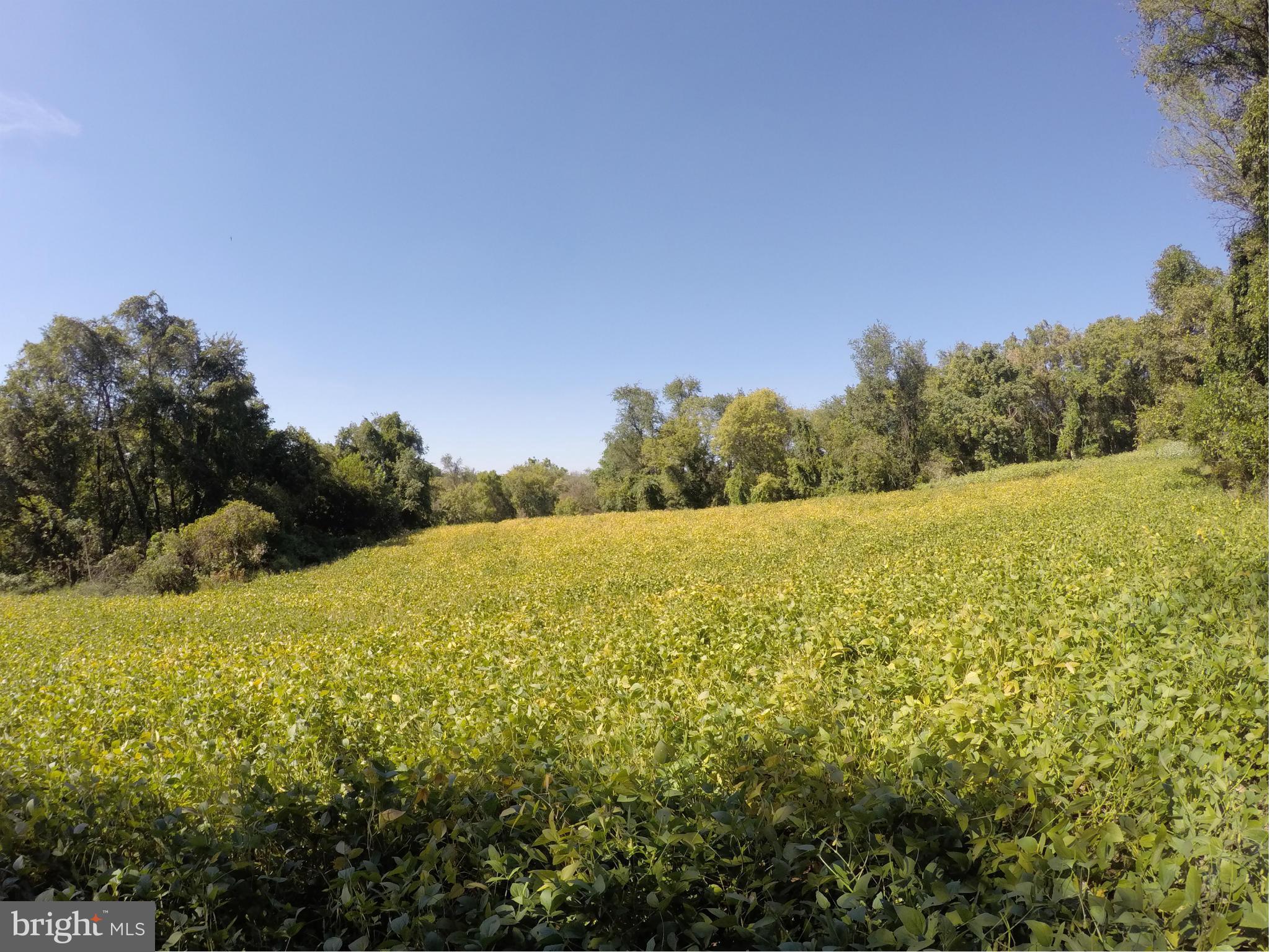 WESTERN RUN VALLEY - Land