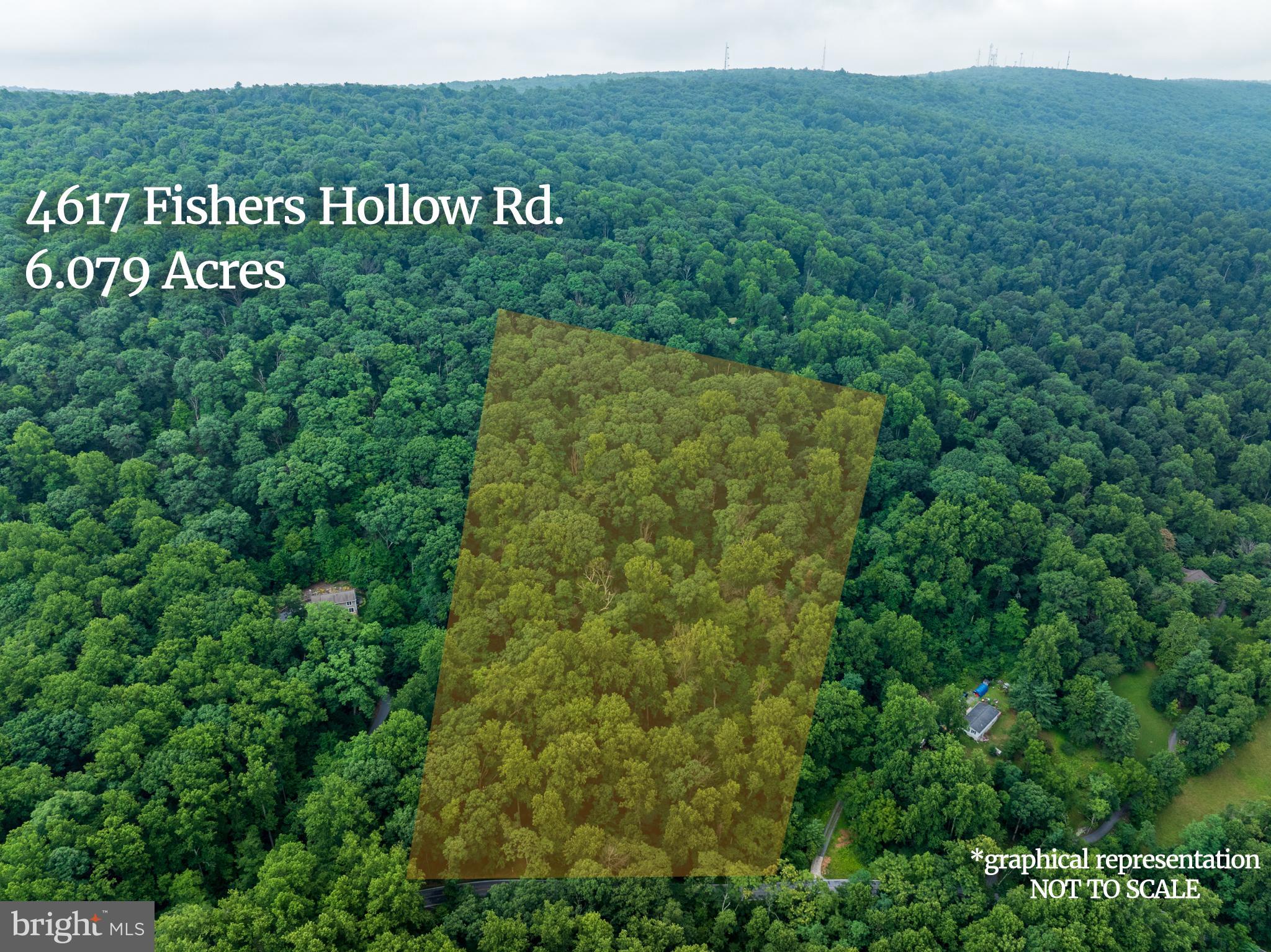 4617 FISHERS HOLLOW ROAD