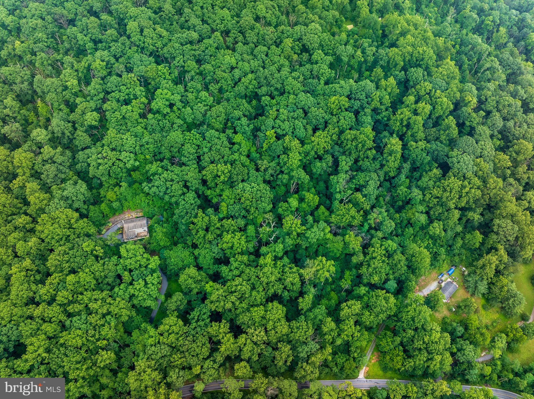 4617 FISHERS HOLLOW ROAD