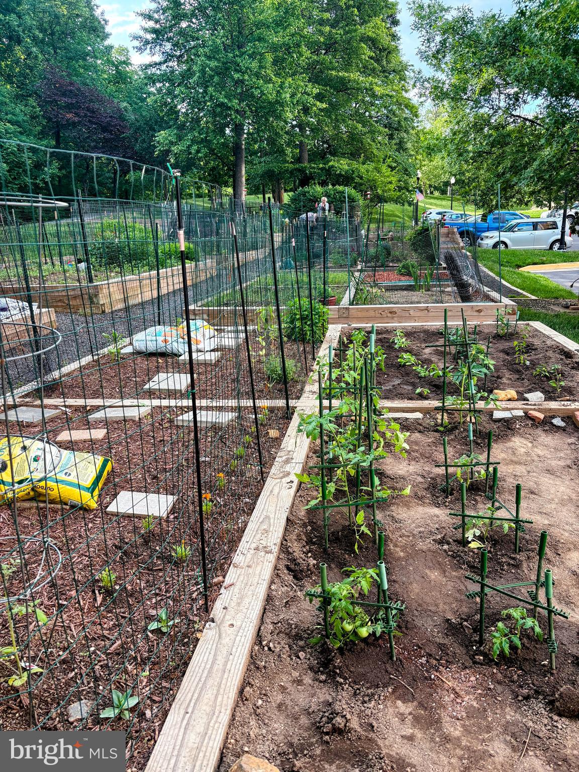 LANSDOWNE WOODS - Residential