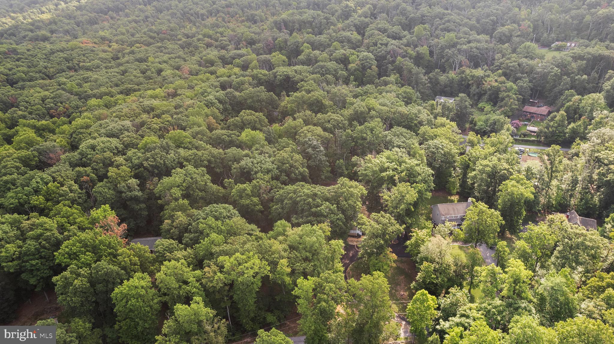 SHANNONDALE - Residential