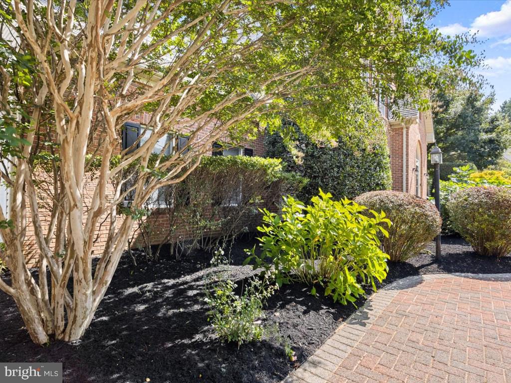 VILLAGE OF RIVER HILL - Residential