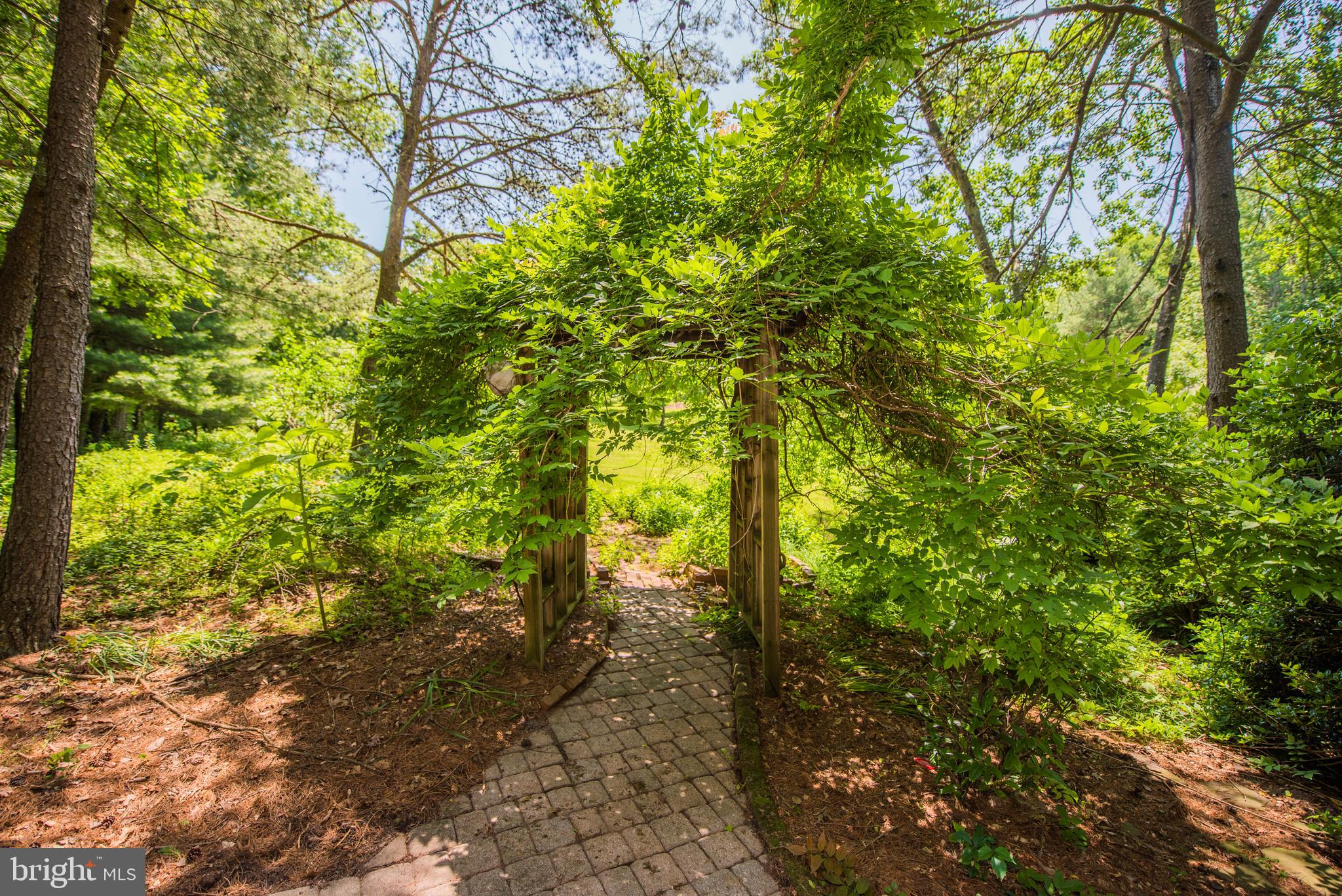 CHESTNUT GROVE - Residential