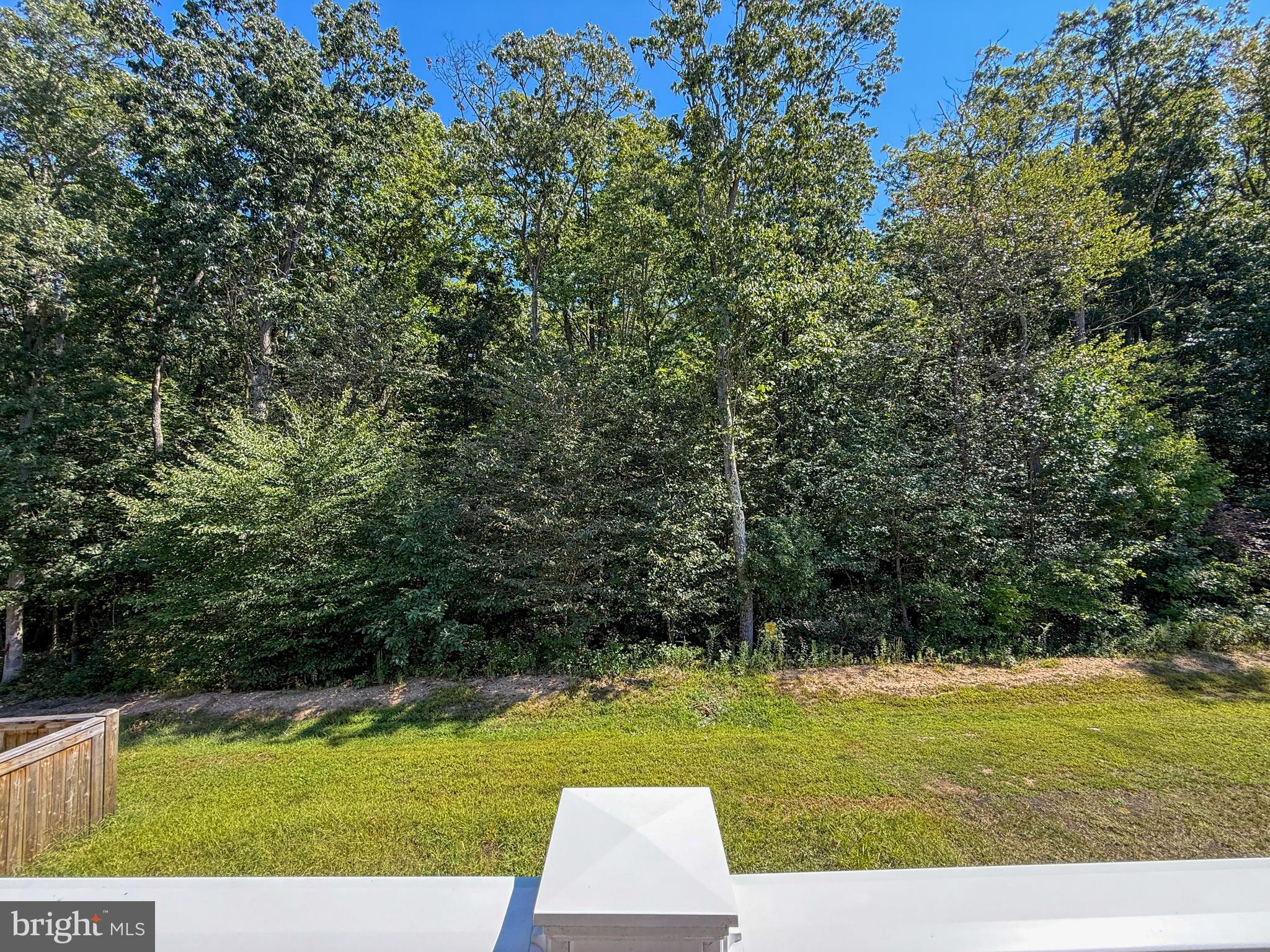 RIDGELY FOREST - Residential