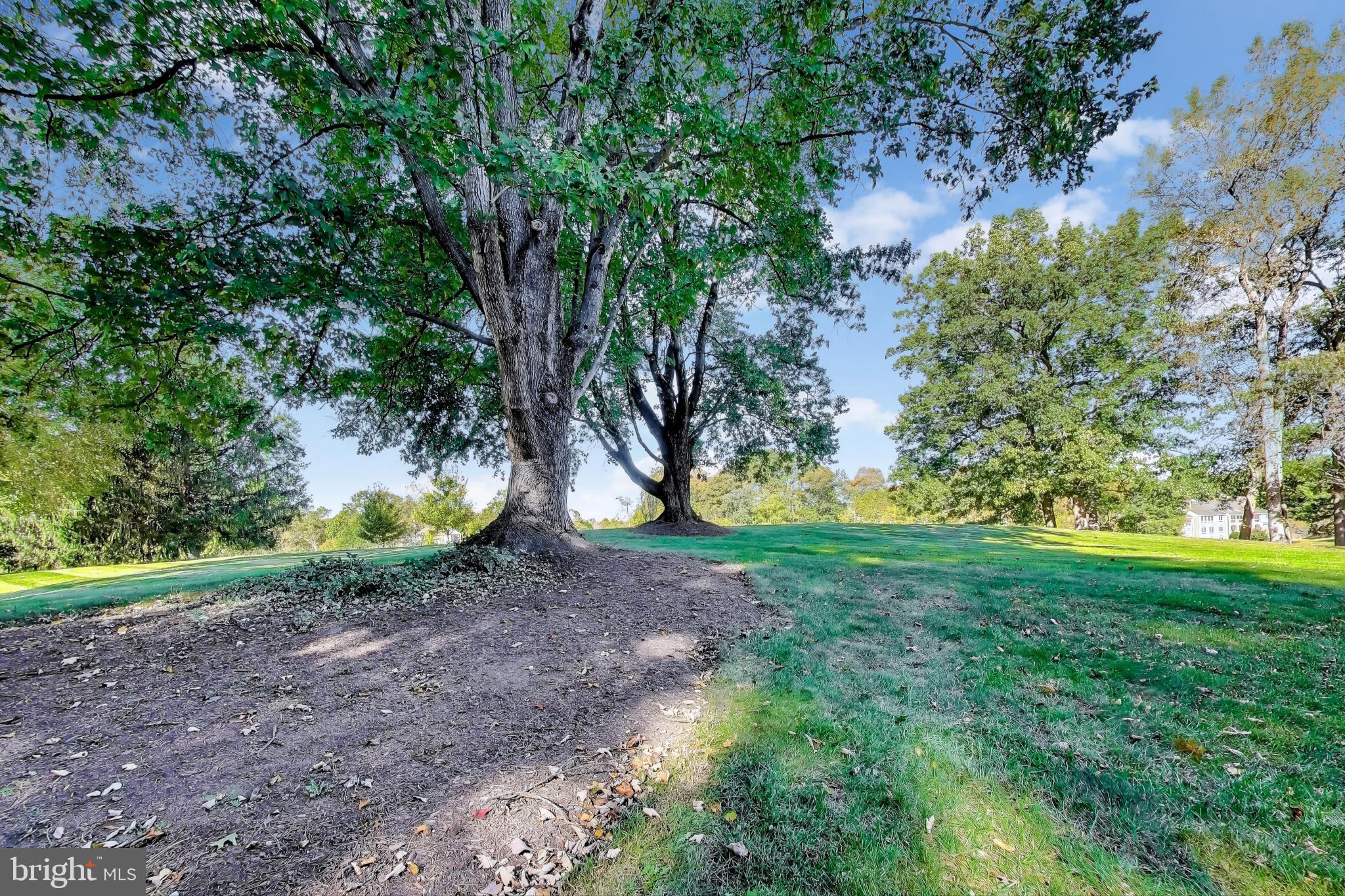 AVENEL - Residential