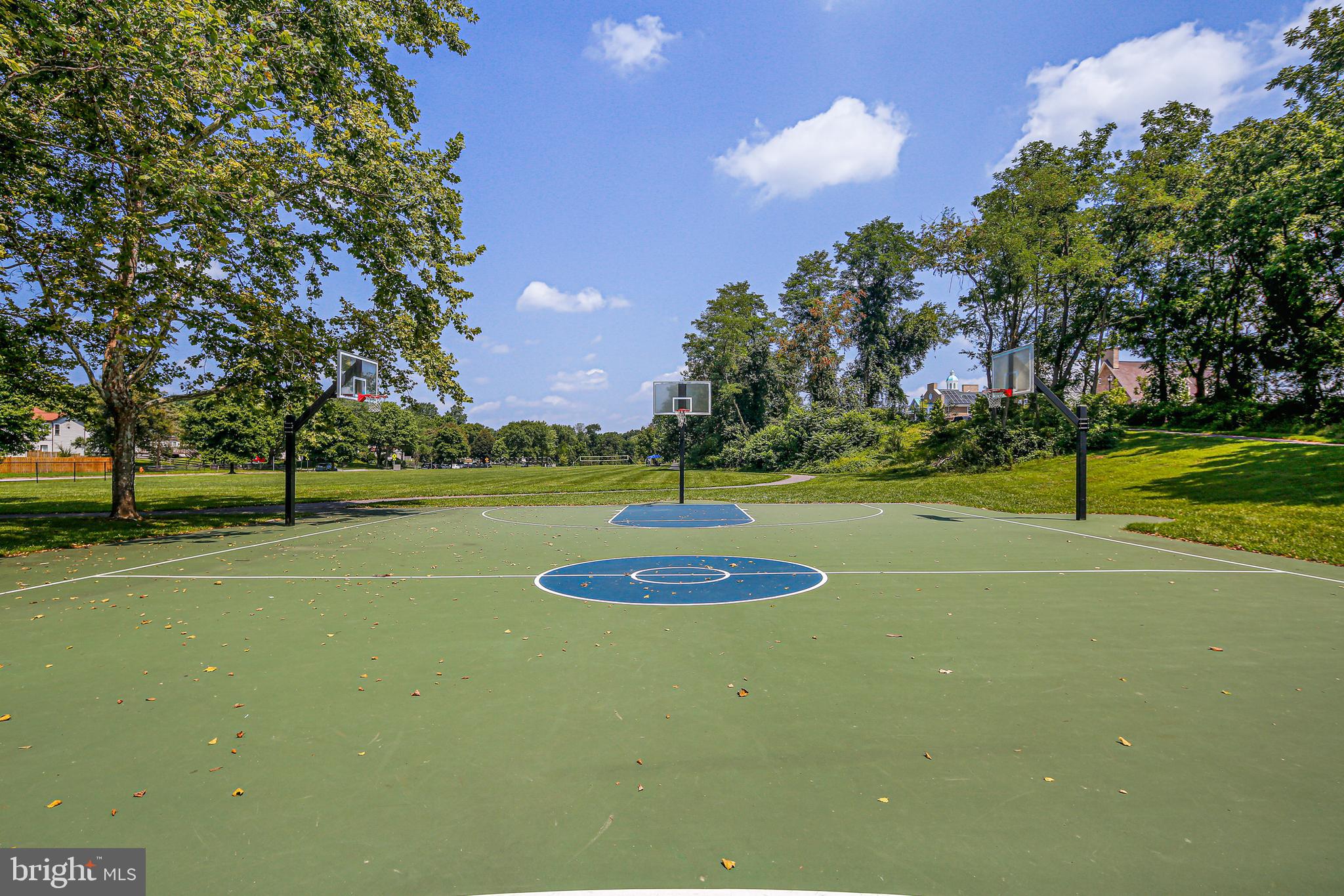 VILLAGE OF HICKORY RIDGE - Residential