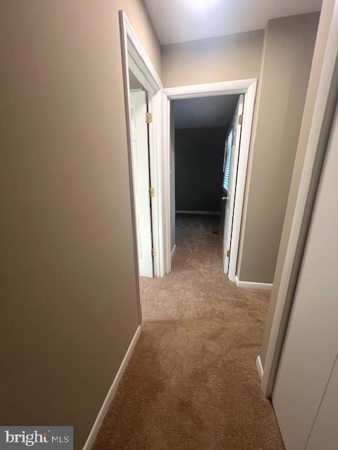 NEWPORT ESTATES - Residential Lease