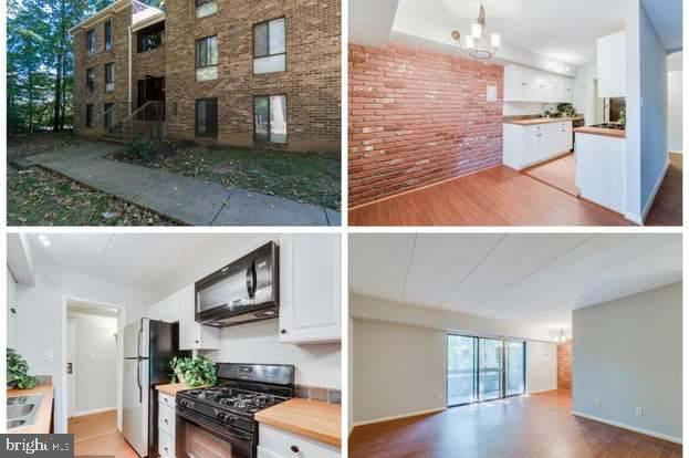 GLENVALE - Residential Lease