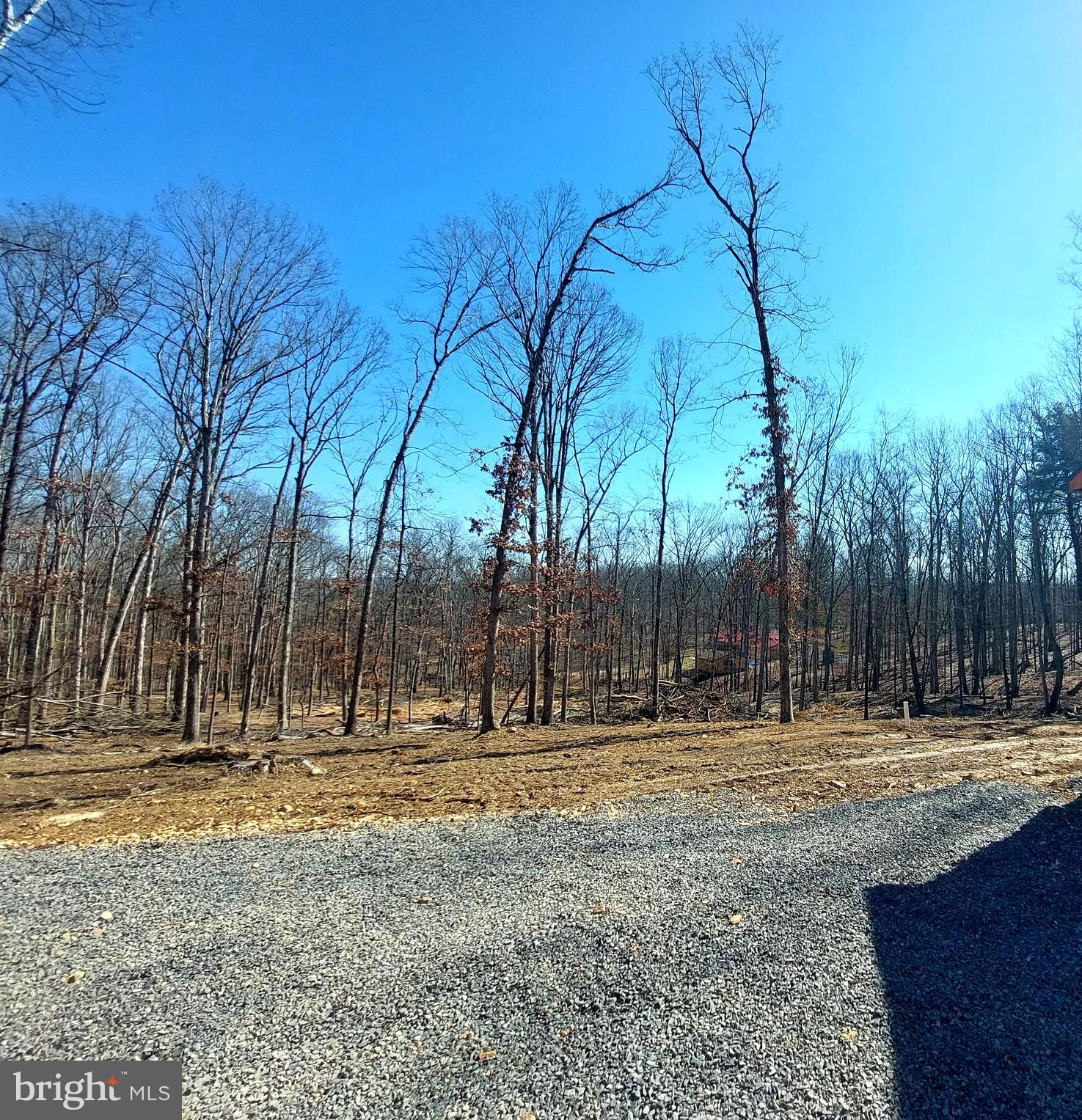 SOUTH POTOMAC FOREST - Residential