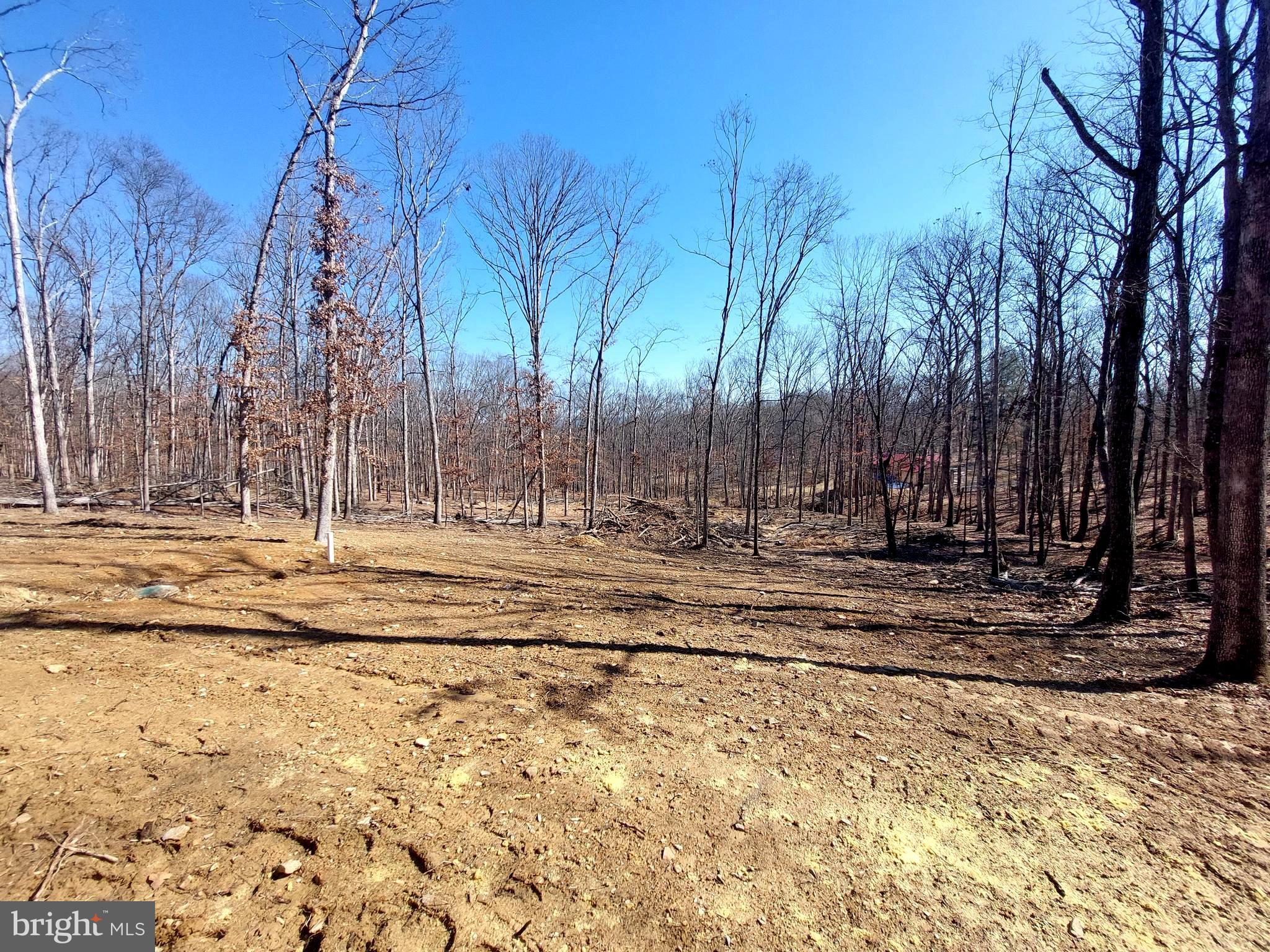 SOUTH POTOMAC FOREST - Residential