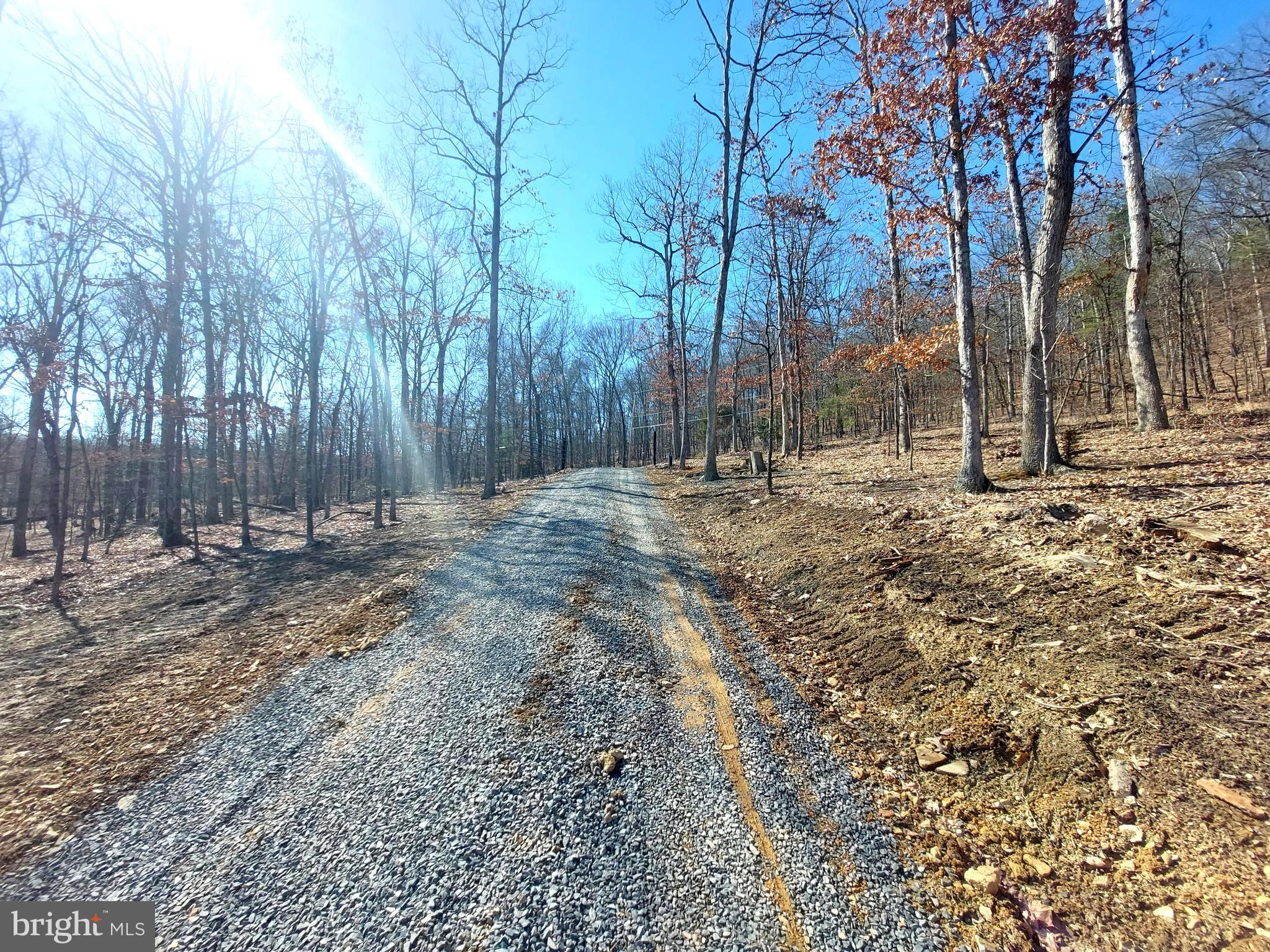 SOUTH POTOMAC FOREST - Residential
