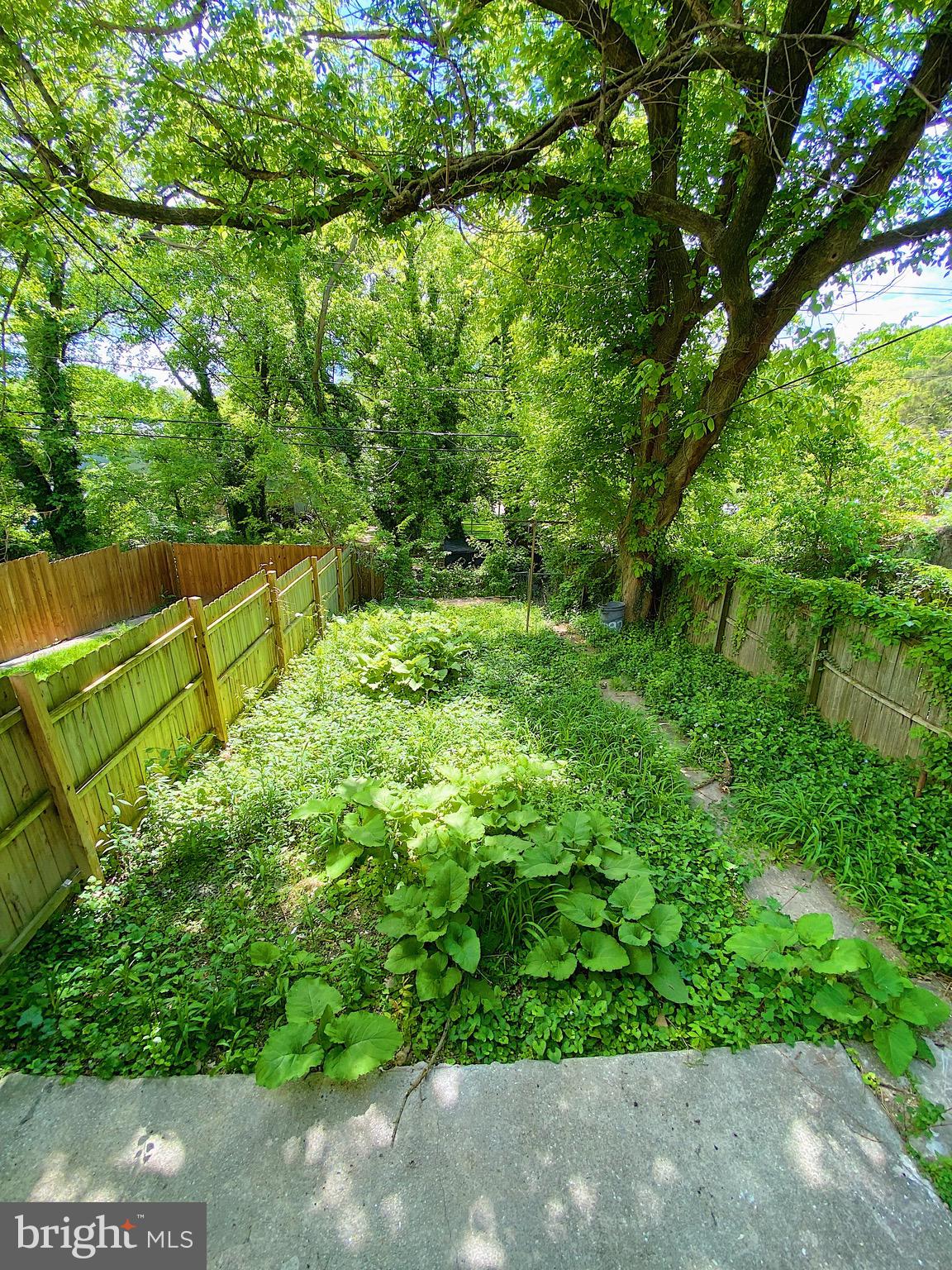 EAST ARLINGTON - Residential