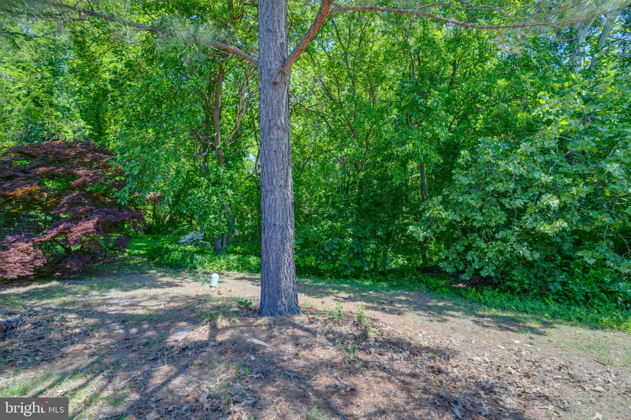 ELIZABETHS LANDING - Residential