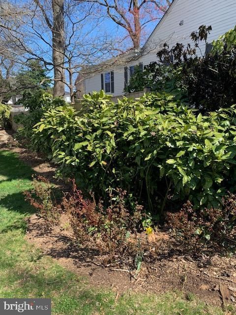 listing image 64