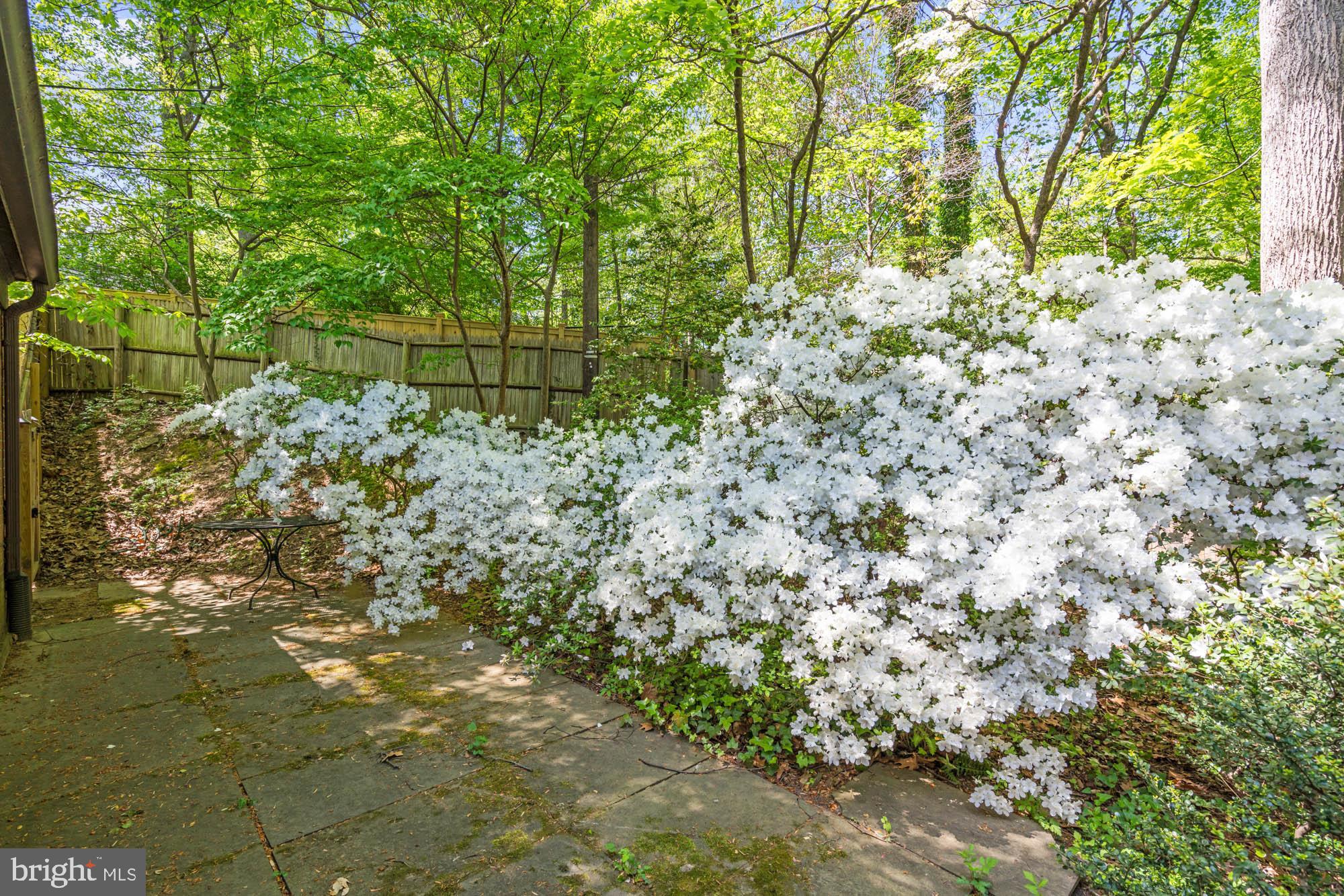 WESTMORELAND HILLS - Residential