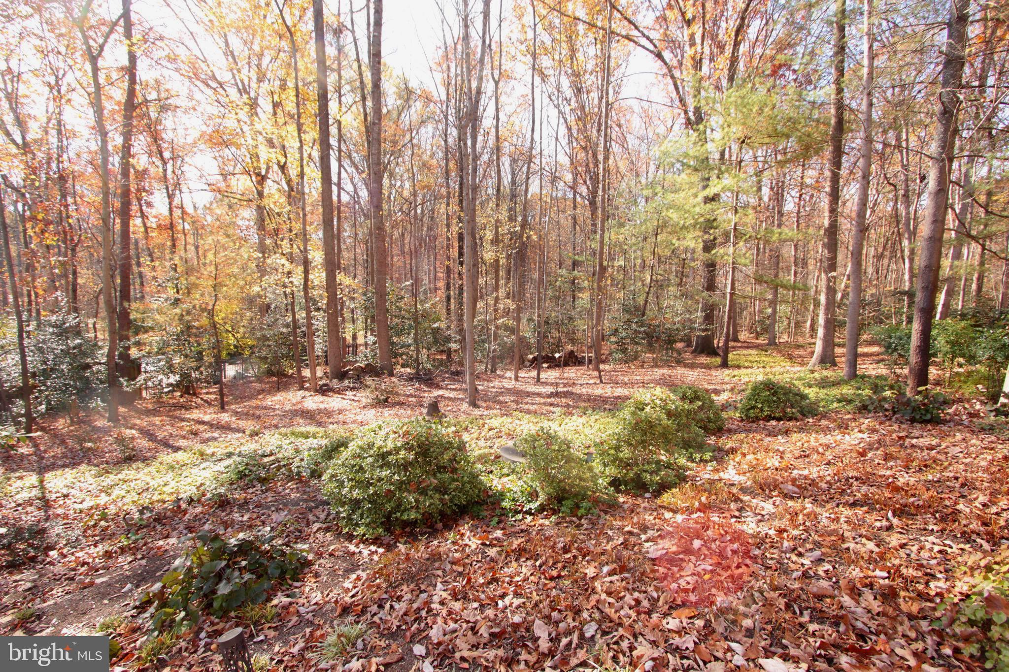 BENNETT FARMS - Residential