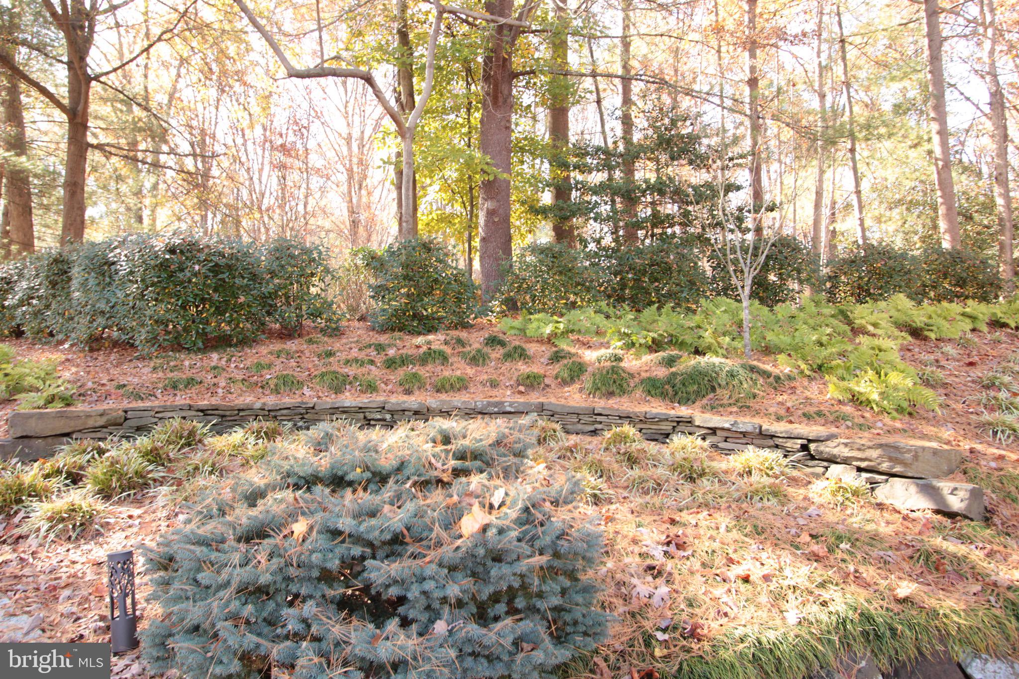 BENNETT FARMS - Residential