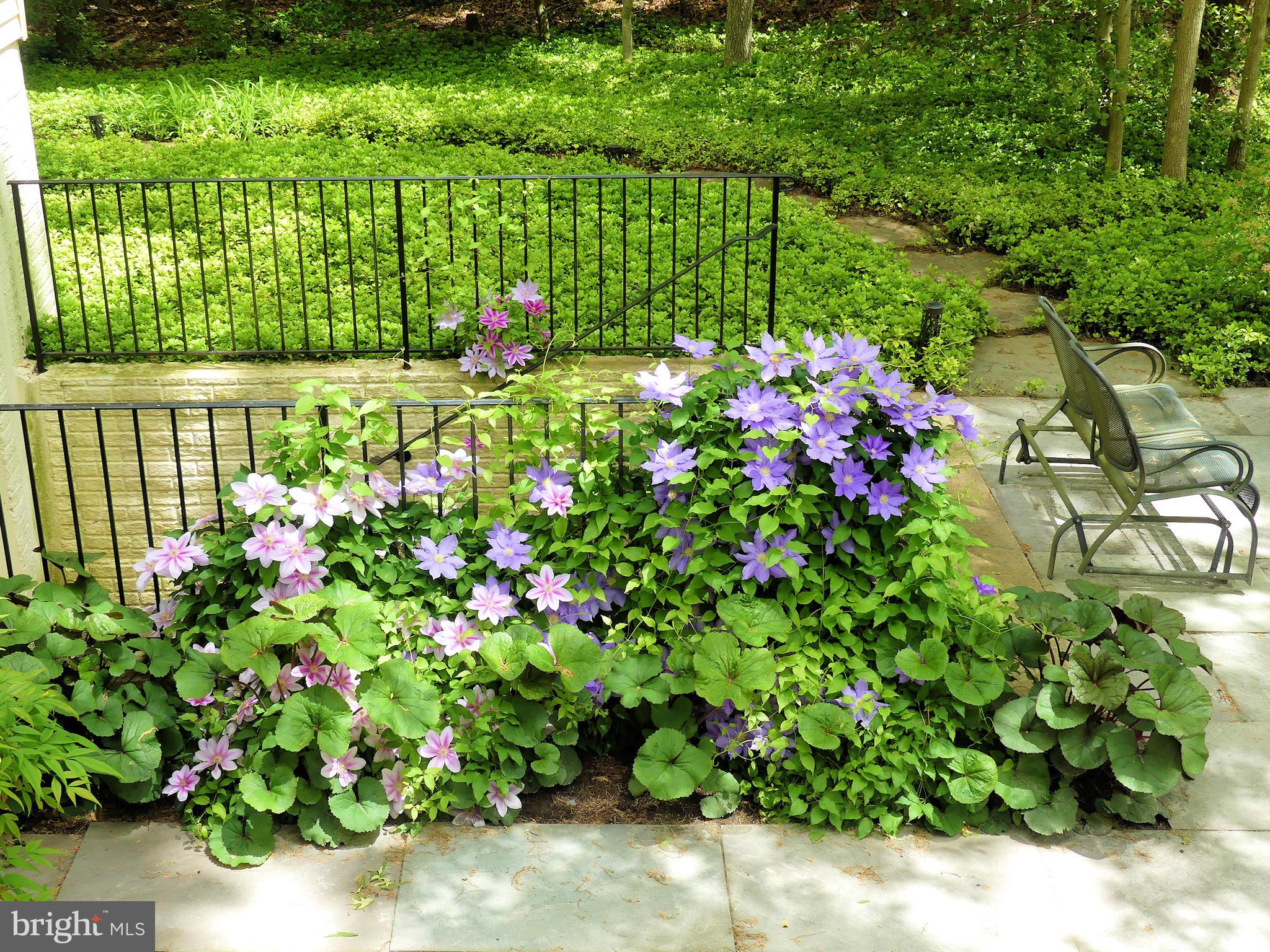 BENNETT FARMS - Residential