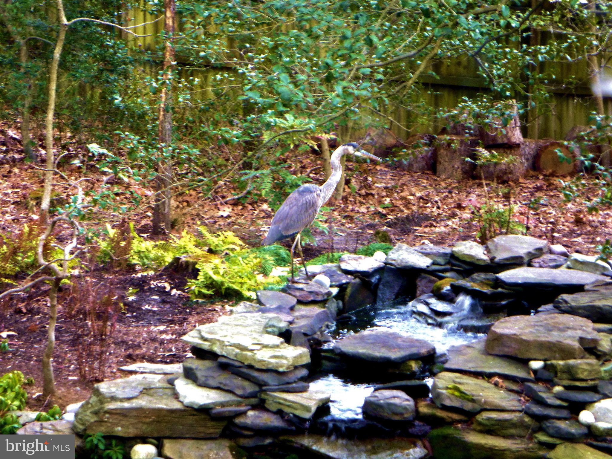 BENNETT FARMS - Residential