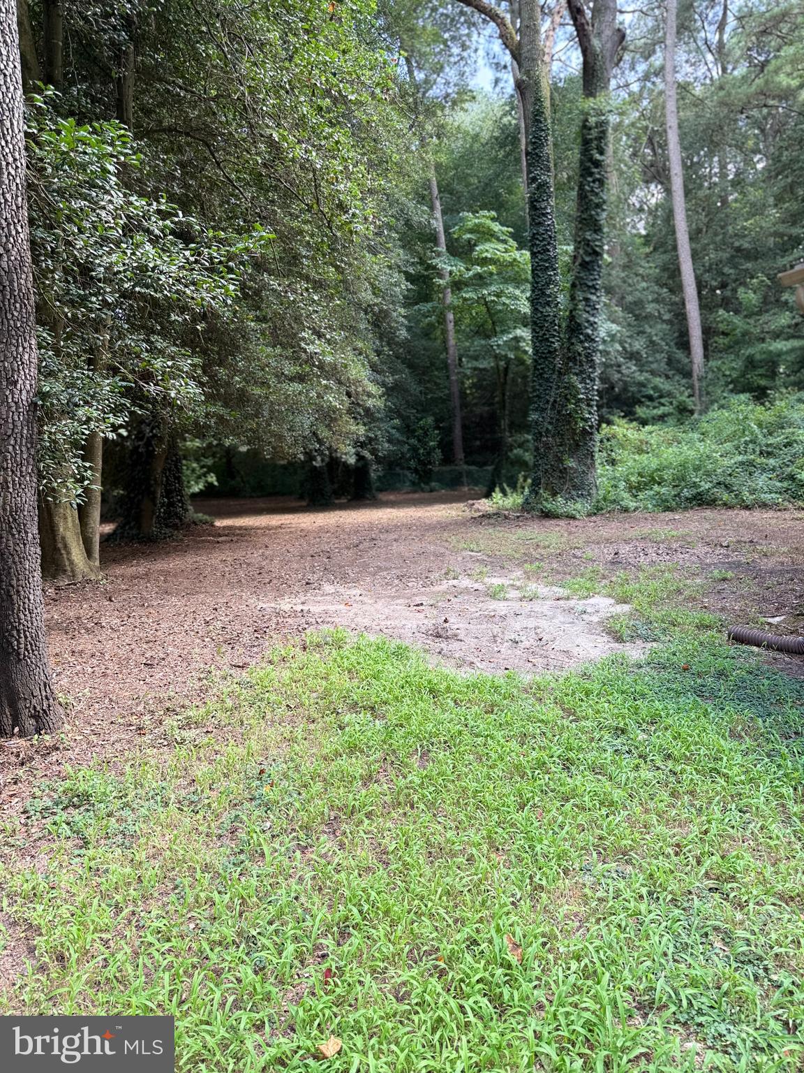 NORTHEAST HOMESITE - Residential