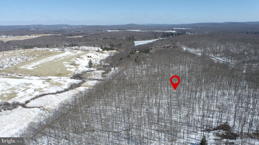 3.67± Acre Perc-Approved Wooded Lot – Prime Location Near Deep Creek Lake

Discover the perfect setting for your dream home on this 3.67± acre perc-approved wooded lot located just off Pergin Farm Road. Offering privacy and natural surroundings, this beautiful property is ideal for a second home getaway or full-time residence.

Conveniently situated just minutes from Deep Creek Lake, and only 10 minutes to shopping, dining, and local schools, this lot combines peaceful seclusion with everyday accessibility.

A rare opportunity to build in a desirable location with both privacy and convenience!