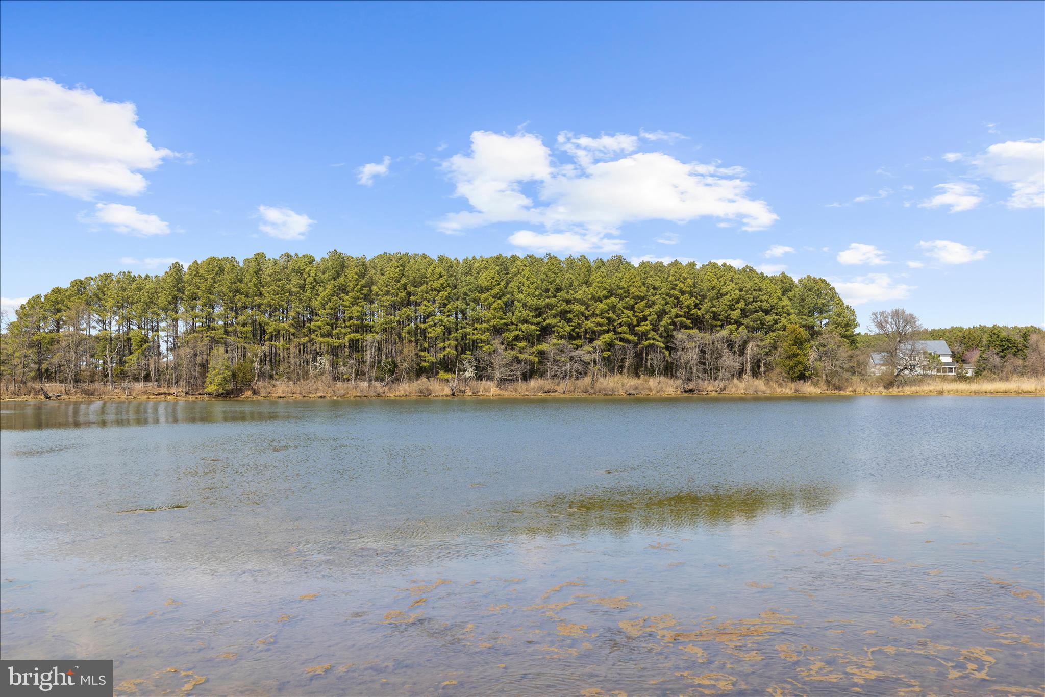 TOWER GARDENS - Residential