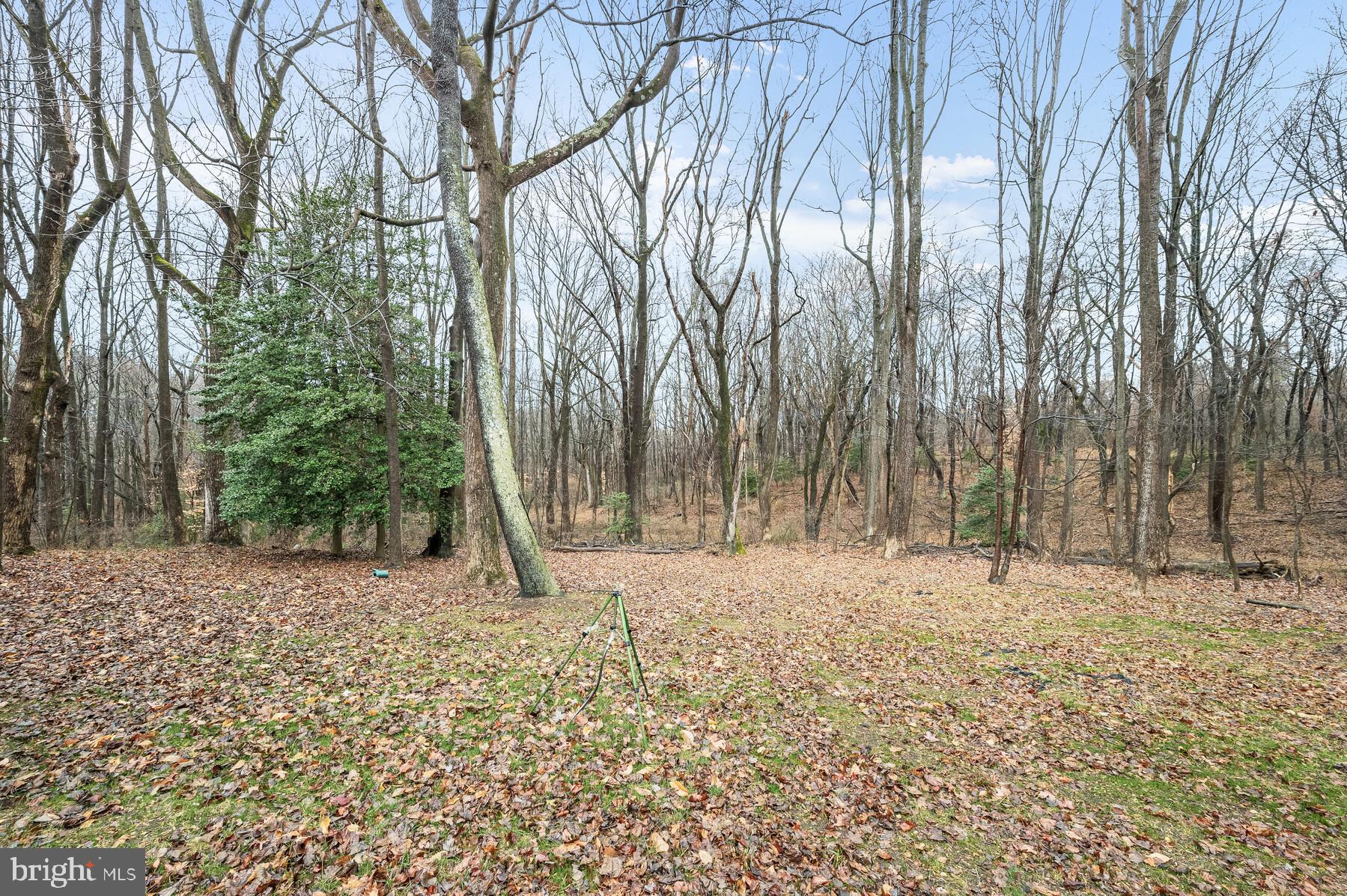 BRAEMAR - Residential