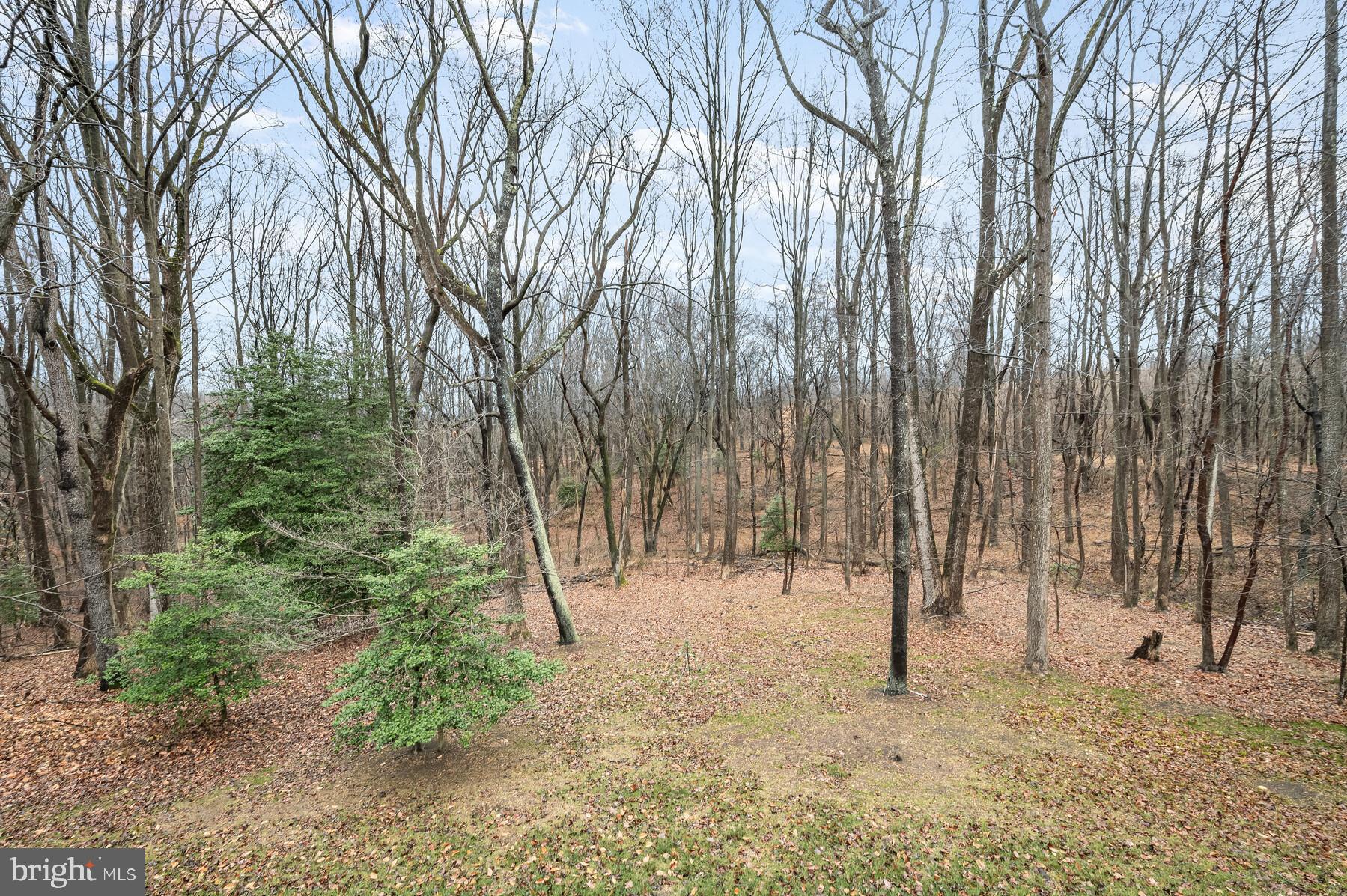 BRAEMAR - Residential