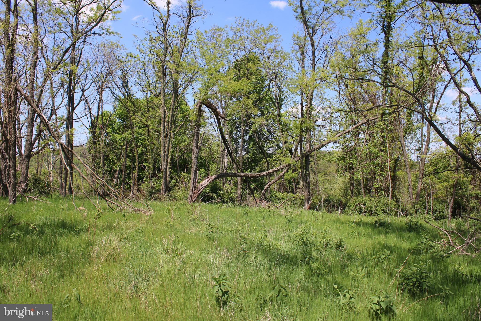 10.36 AC HIGH VIEW ROAD