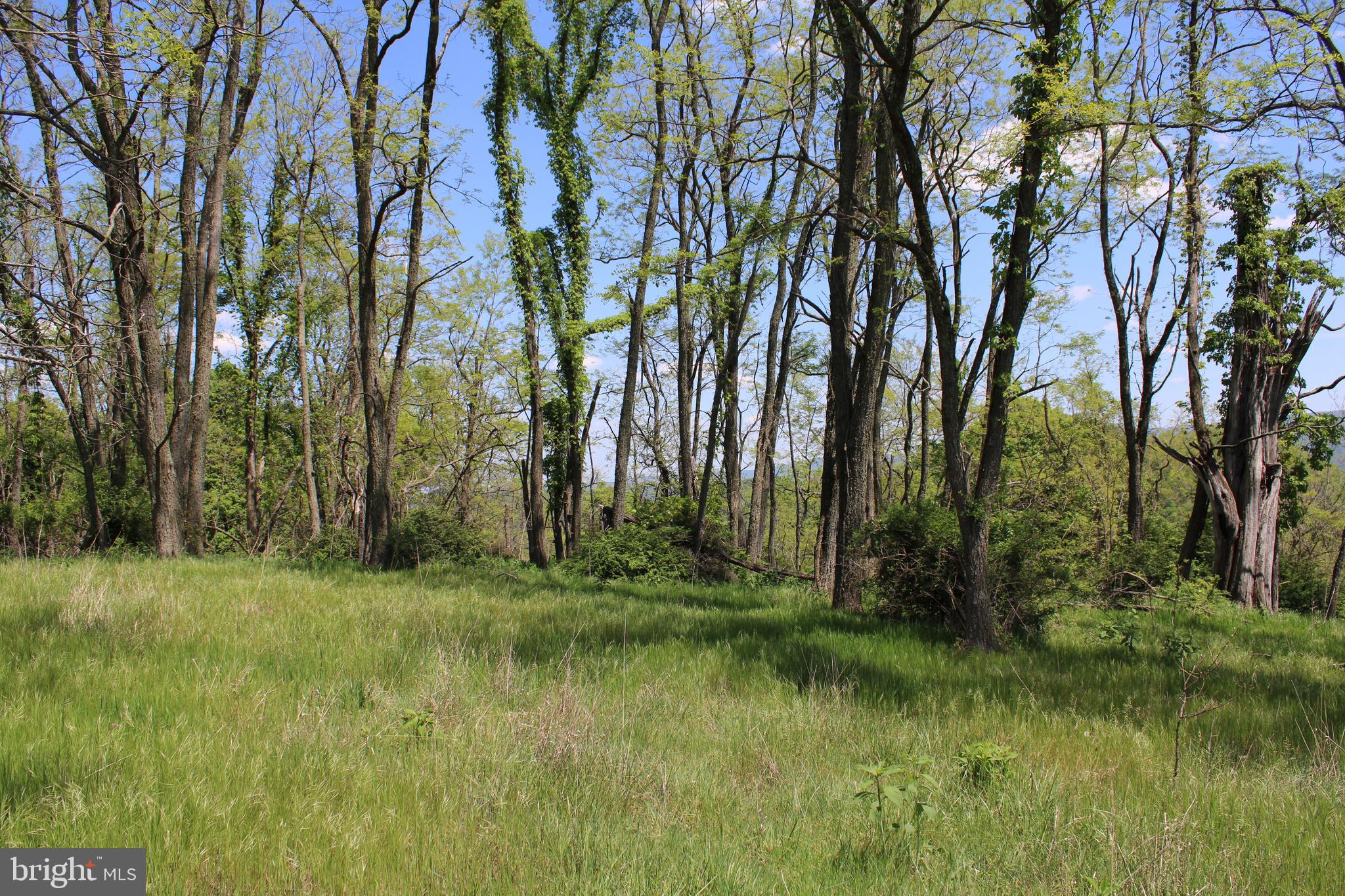 10.36 AC HIGH VIEW ROAD