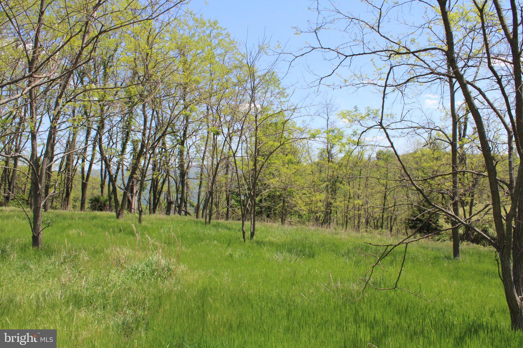 10.36 AC HIGH VIEW ROAD