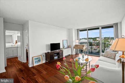 1225 MARTHA CUSTIS DRIVE 715 ALEXANDRIA VA 22302