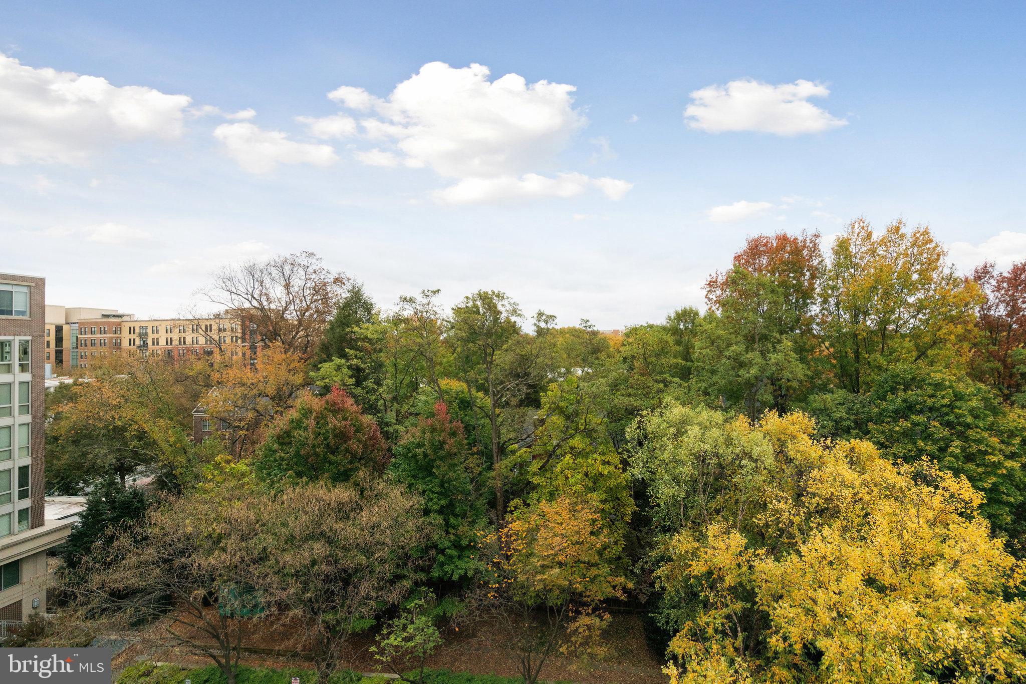 BYRON CONDOMINIUM - Residential