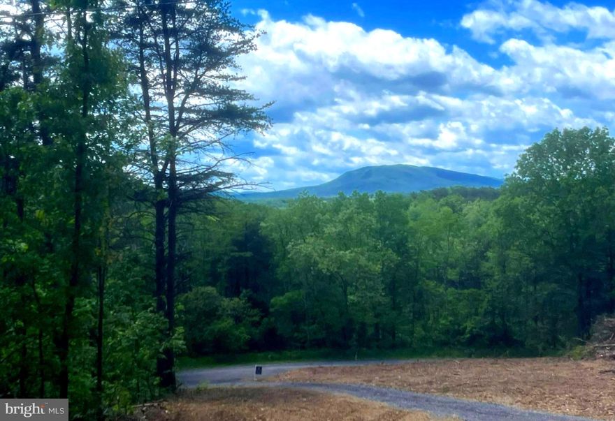 Who wouldn't want it all? Privacy and seclusion, but only minutes from schools, restaurants, and town! Whether you're building your dream home or your weekend getaway, this one checks all the boxes! 10+ unrestricted acres, perc approved septic, new driveway, and right off a state-maintained road! What more could you ask for?  Well, how about an amazing mountain view!!This lot offers everything for you to start building your own oasis! These types of lots do not come along often so do not miss you chance to come and escape the city life and grab your slice West Virginia!  Only 45 minutes from Winchester VA and two hours from DC!