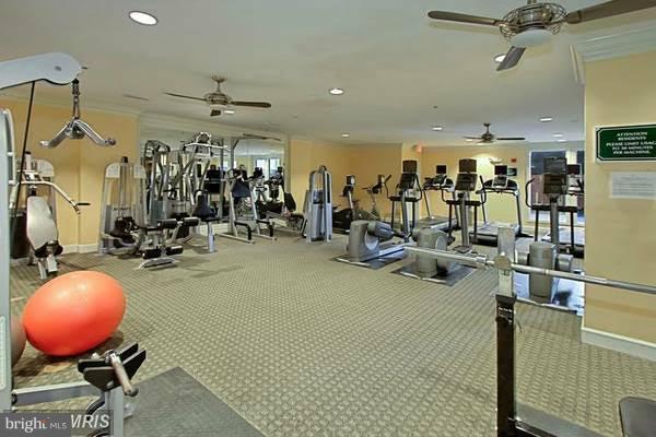 HALSTEAD AT THE METRO - Residential Lease