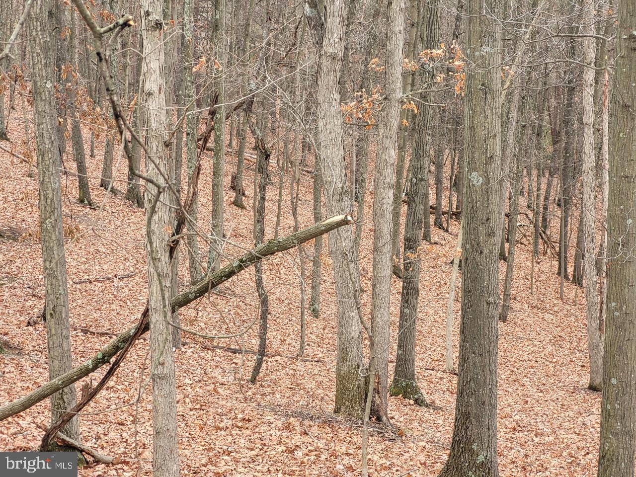 NONE AVAILABLE - Land