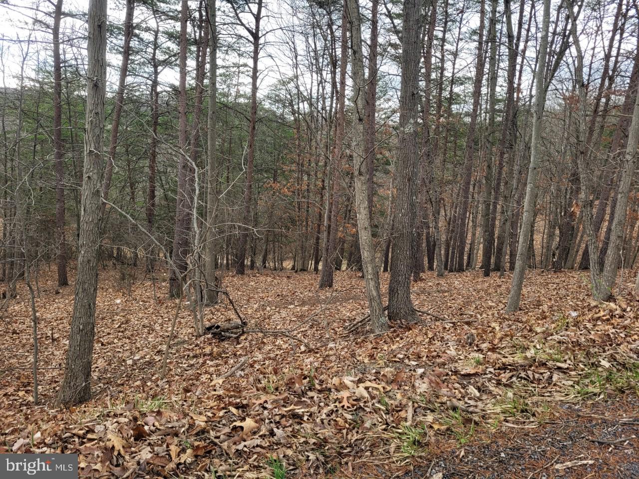 NONE AVAILABLE - Land