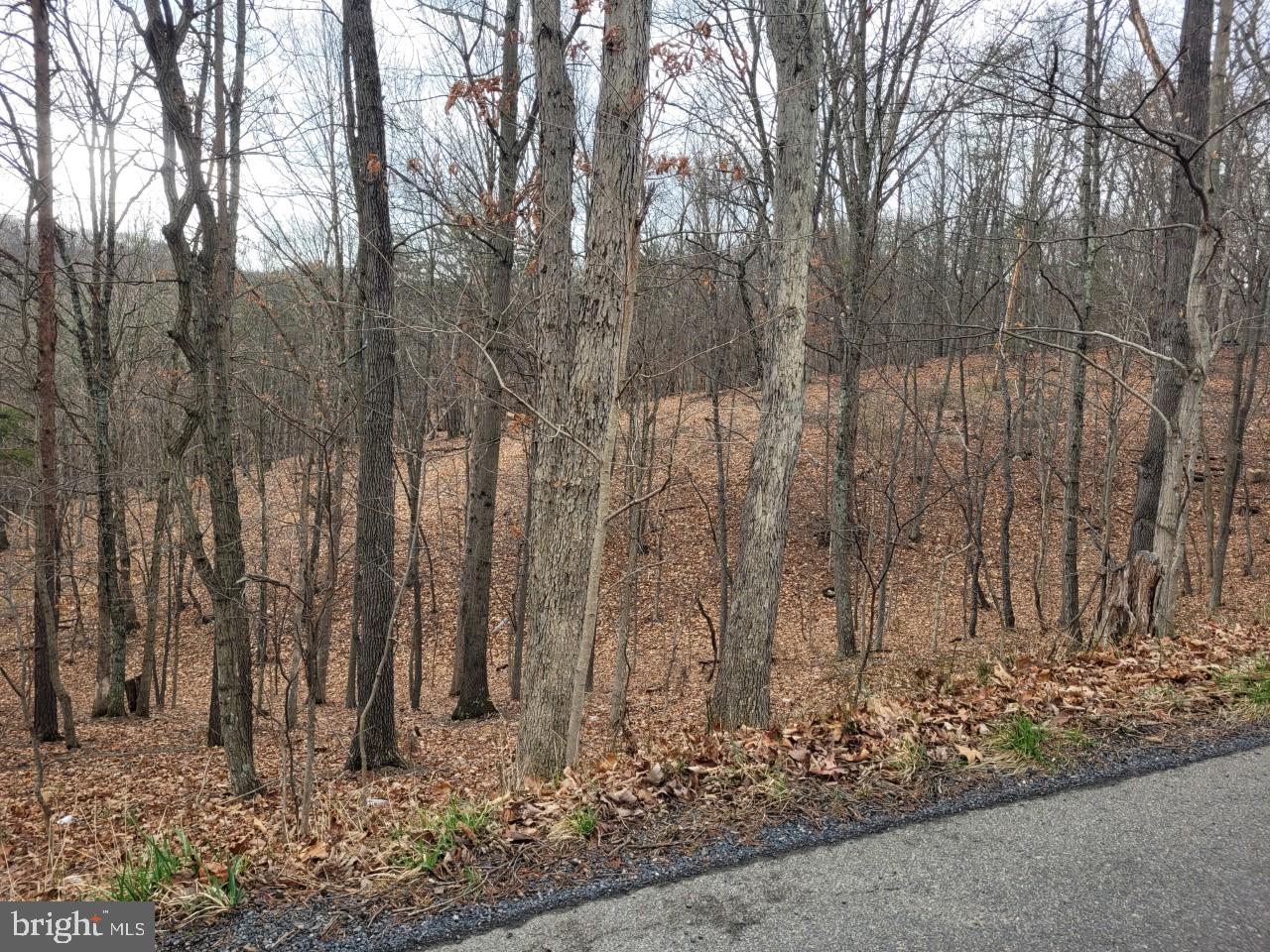 NONE AVAILABLE - Land