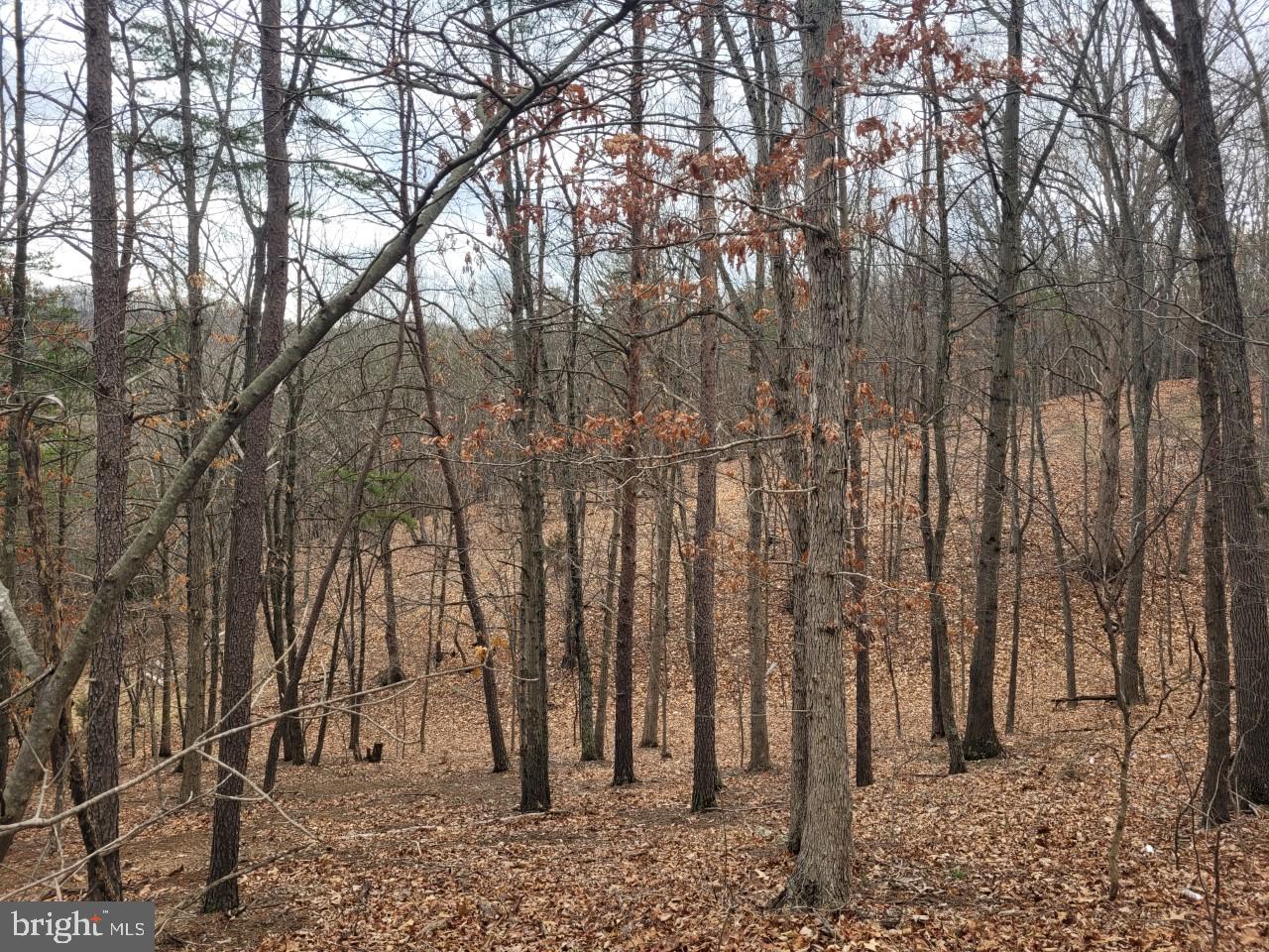 NONE AVAILABLE - Land