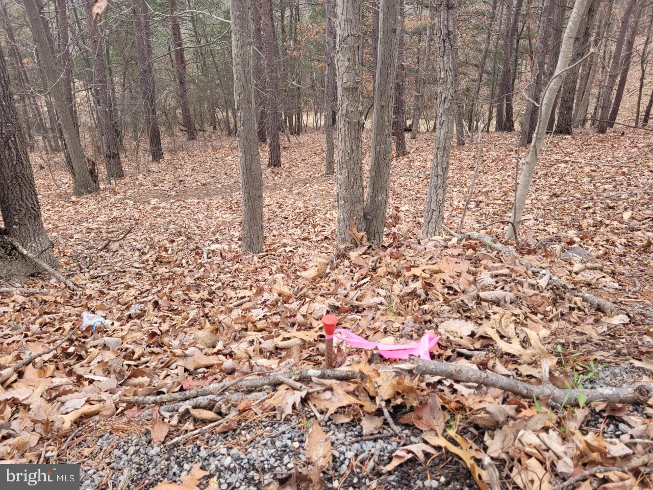 NONE AVAILABLE - Land