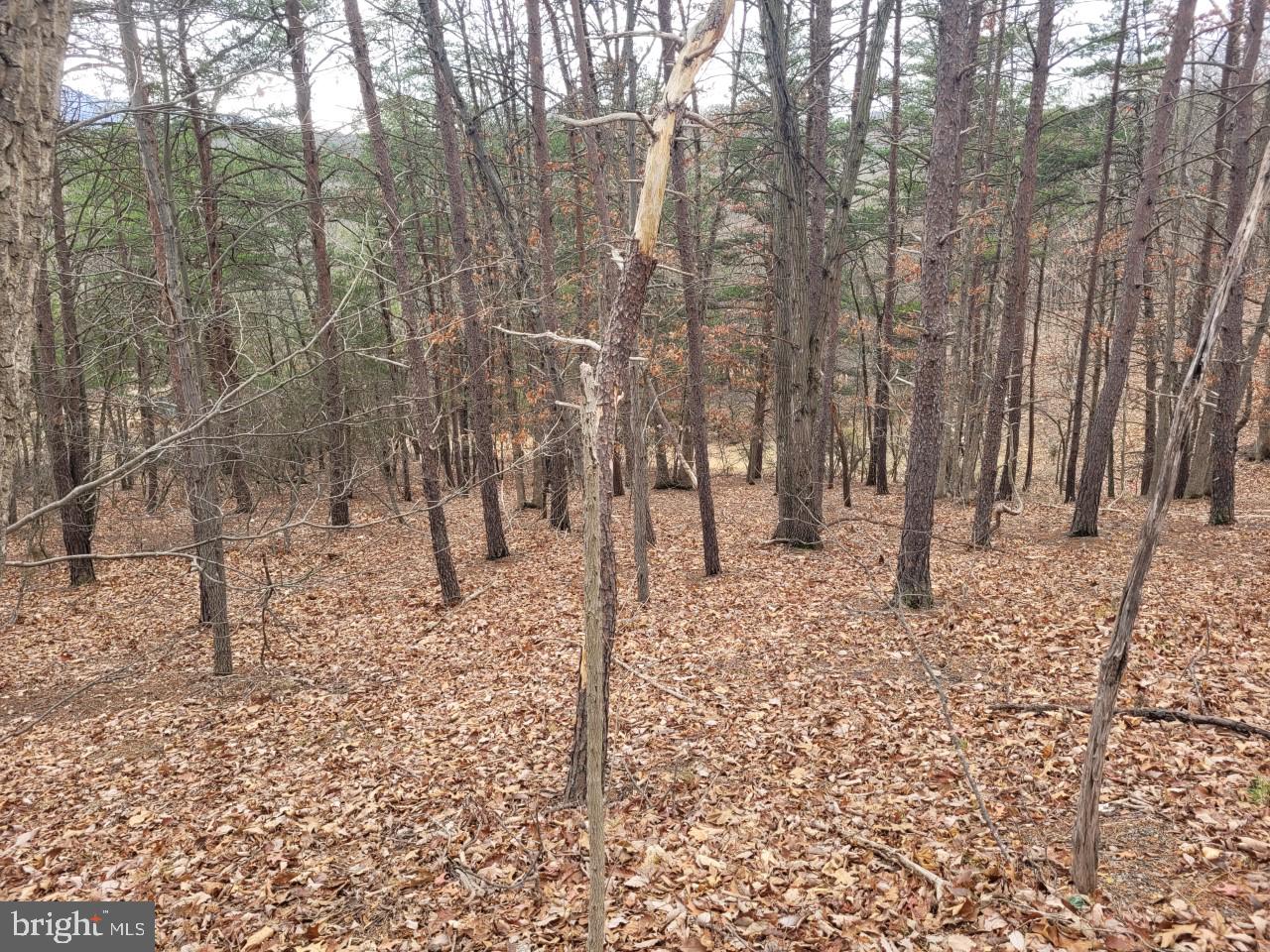 NONE AVAILABLE - Land