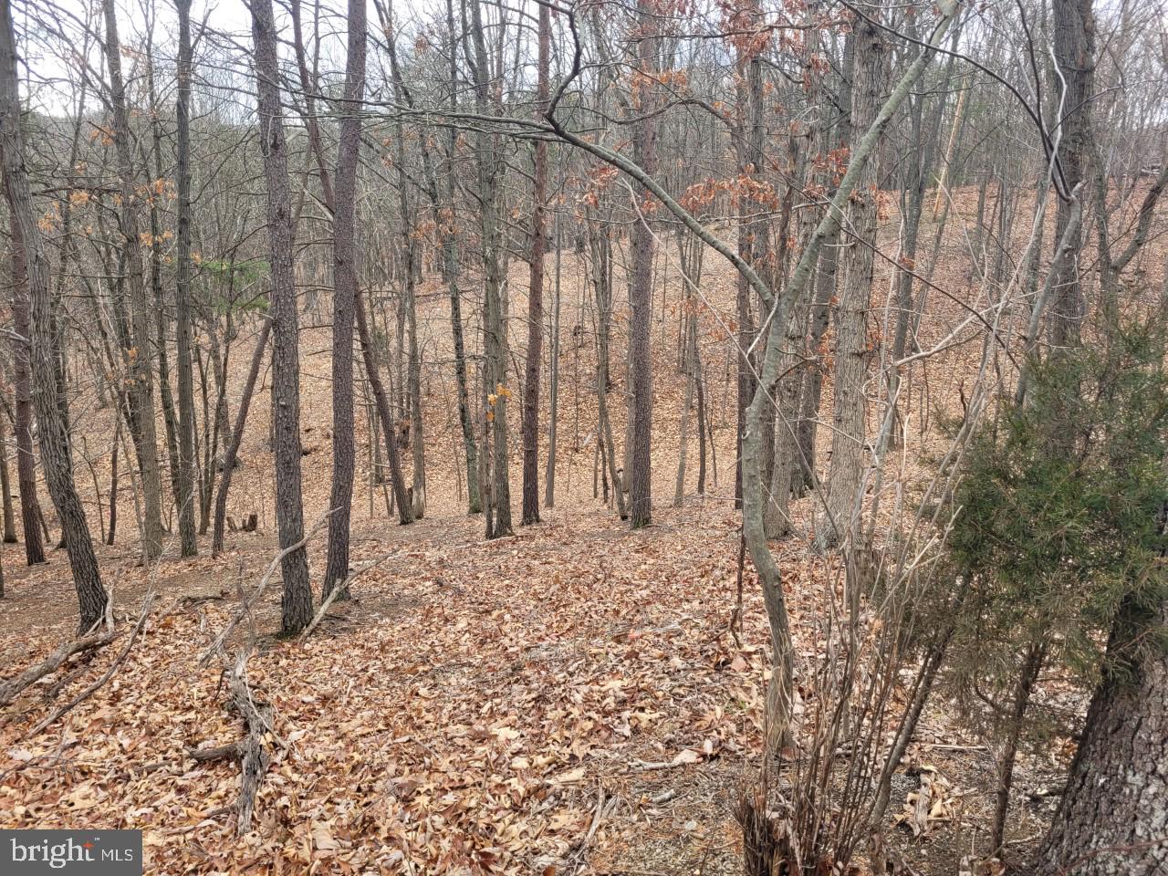 NONE AVAILABLE - Land