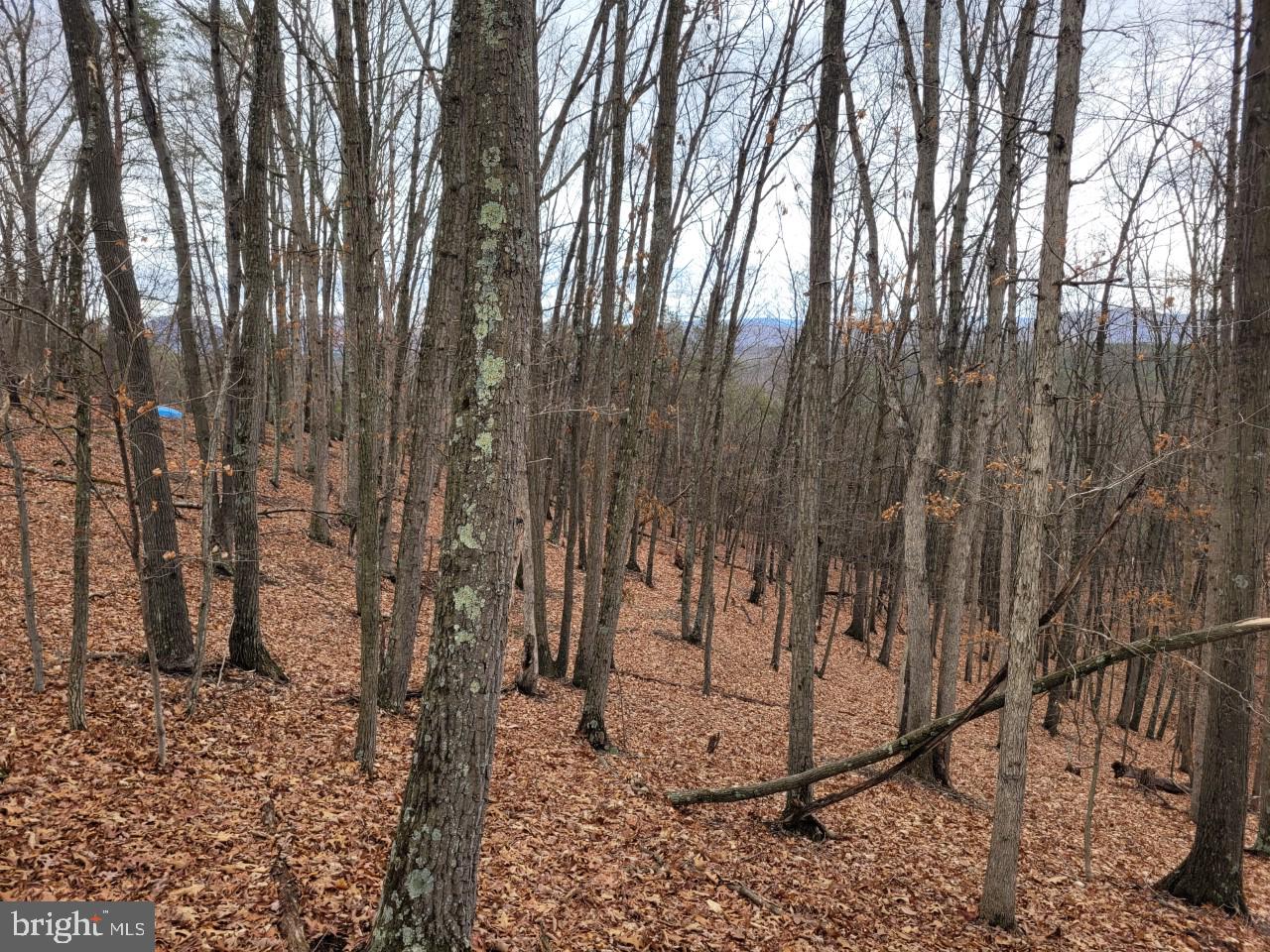 NONE AVAILABLE - Land