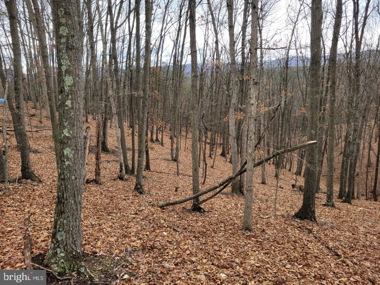 NONE AVAILABLE - Land